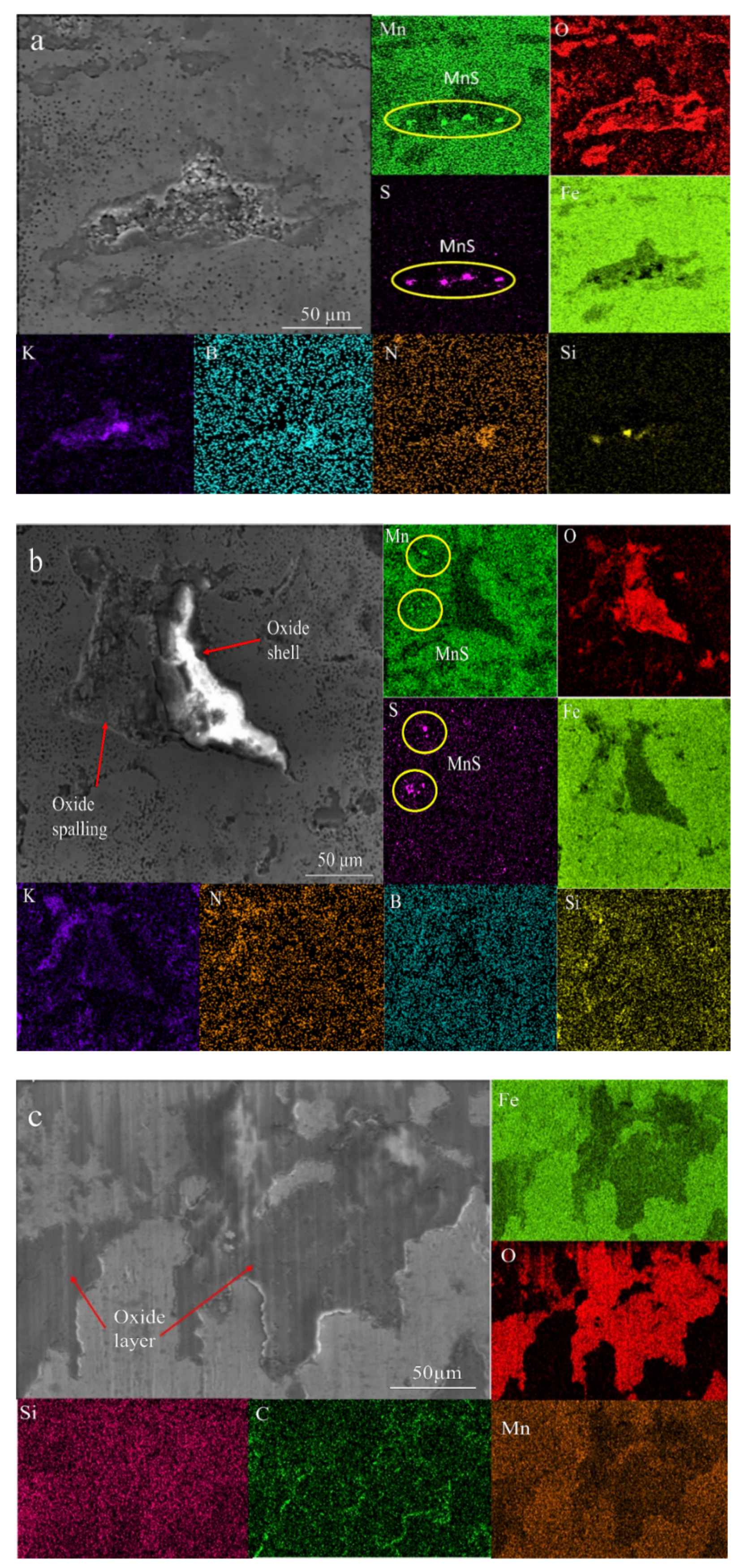 Coatings 11 01207 g015