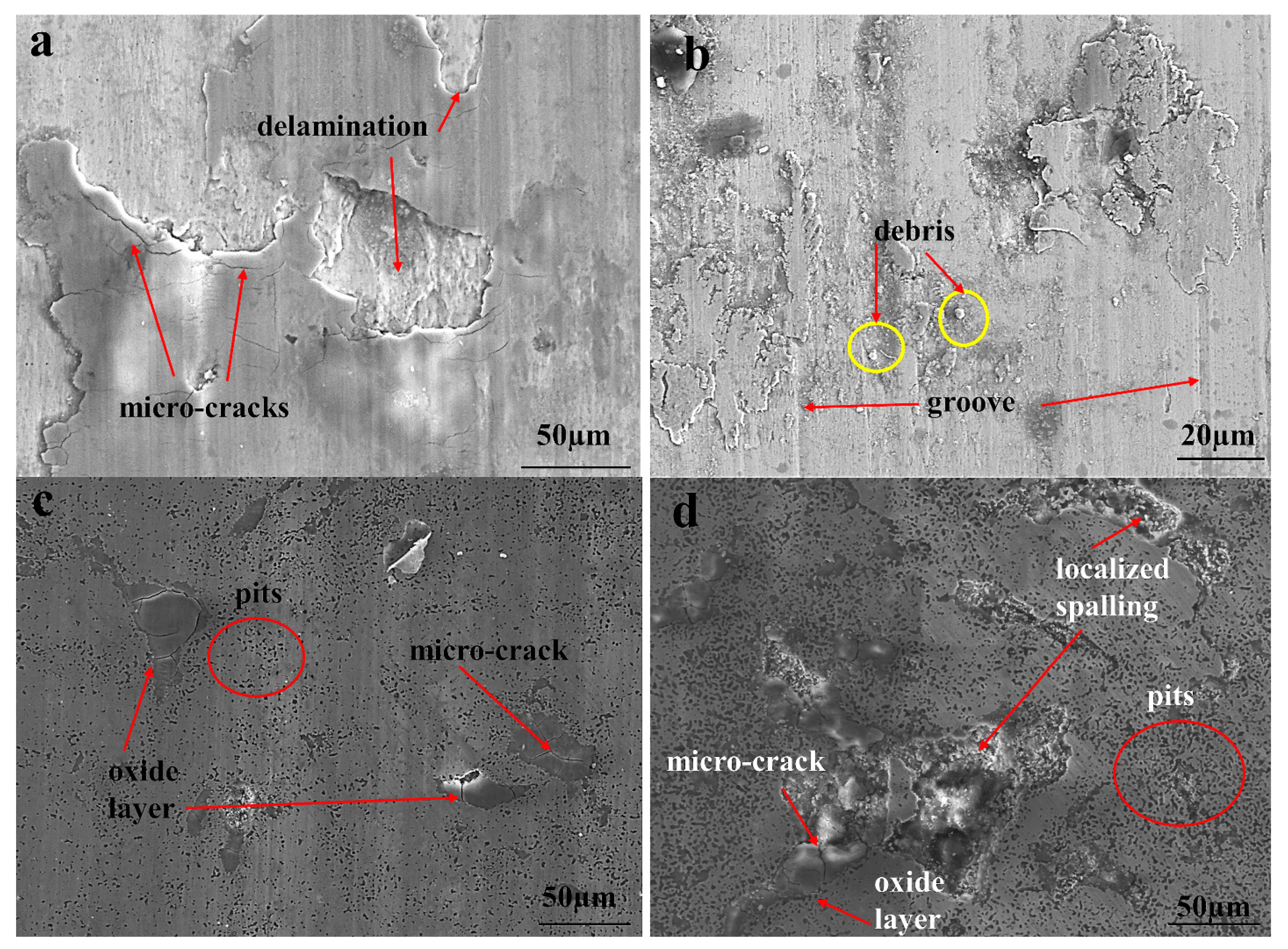 Coatings 11 01207 g016