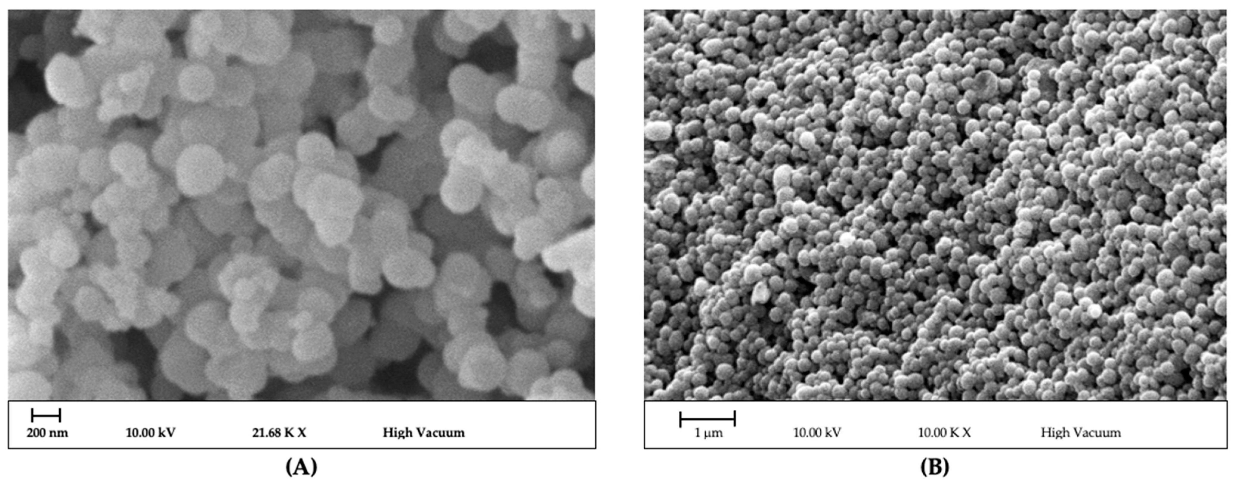 Coatings 11 01212 g001