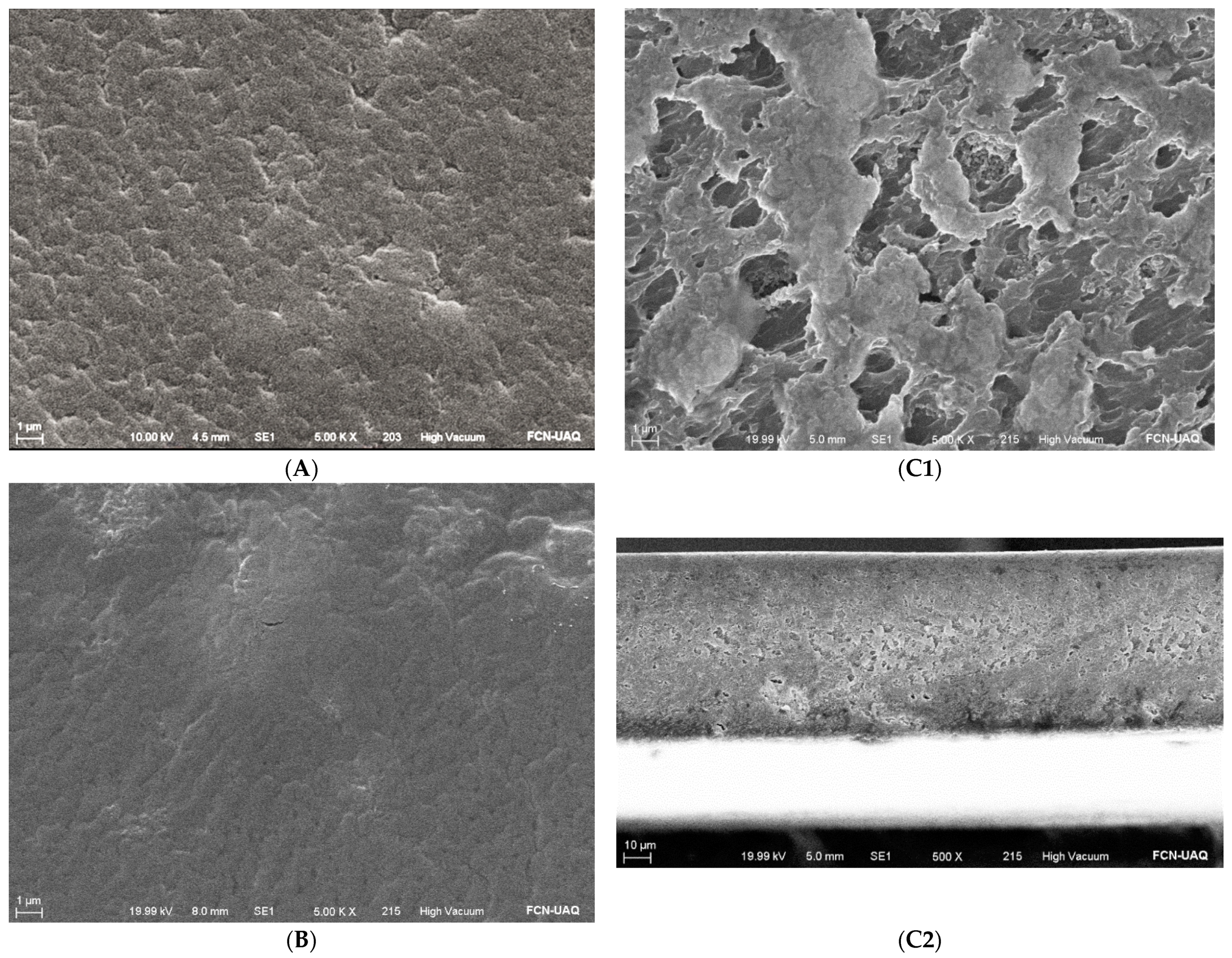 Coatings 11 01212 g002