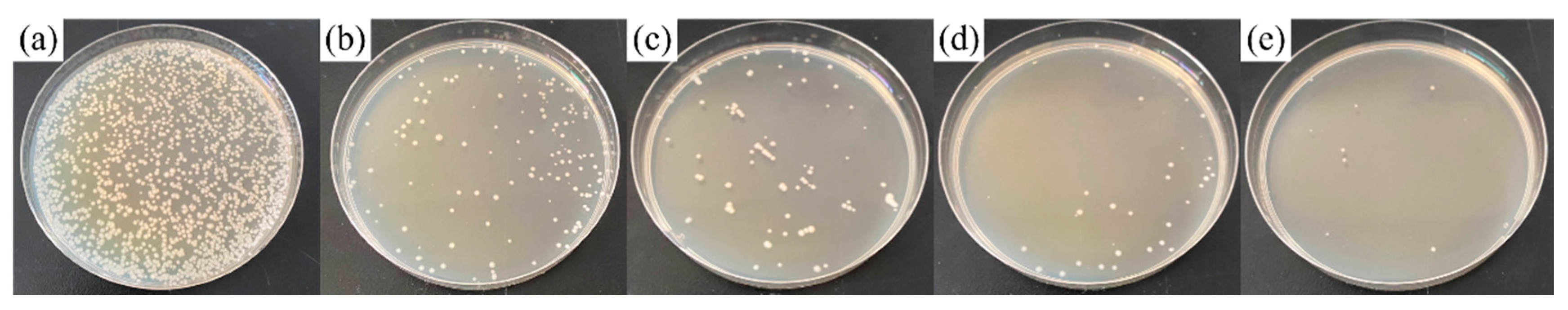 Coatings 11 01213 g011 550