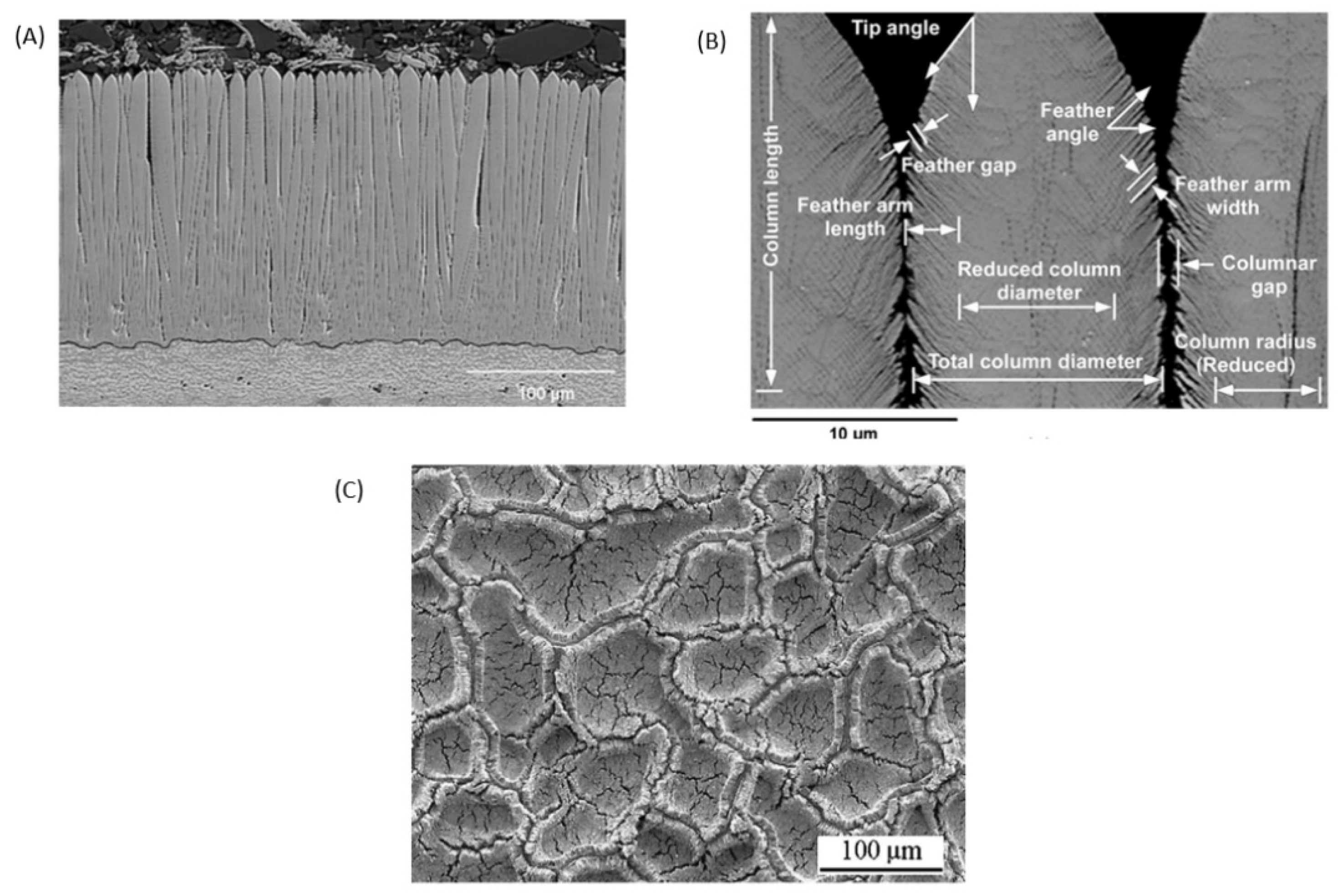 Coatings 11 01214 g009