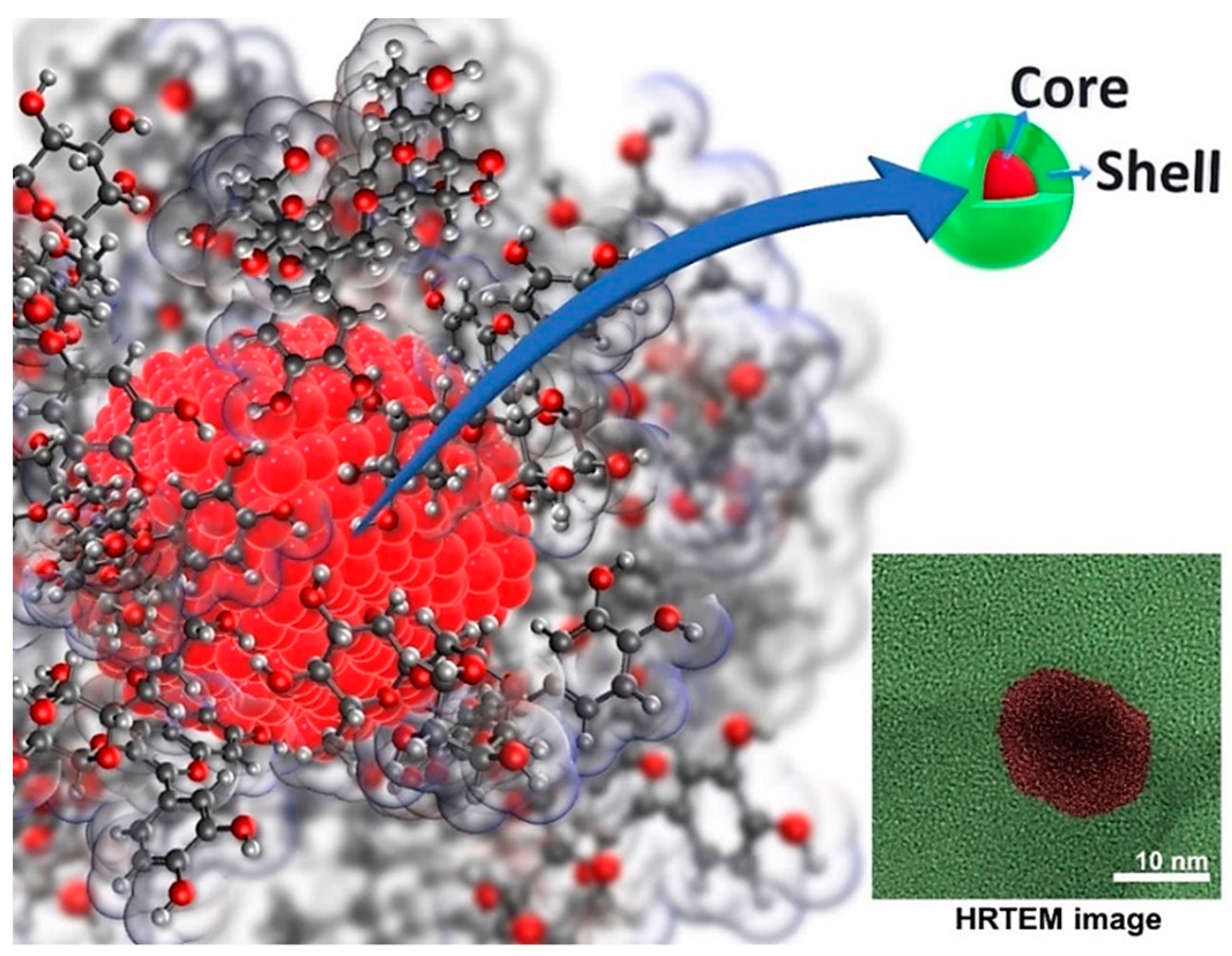 Coatings 11 01215 g002 550