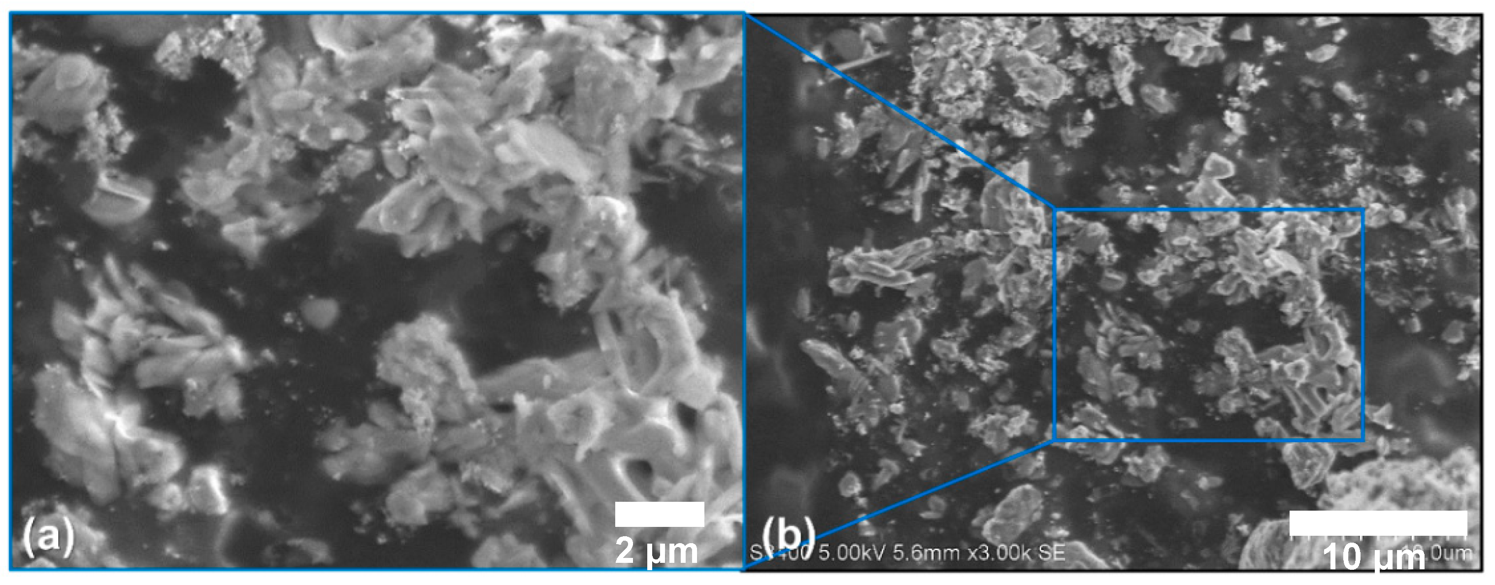 Coatings 11 01215 g006 550