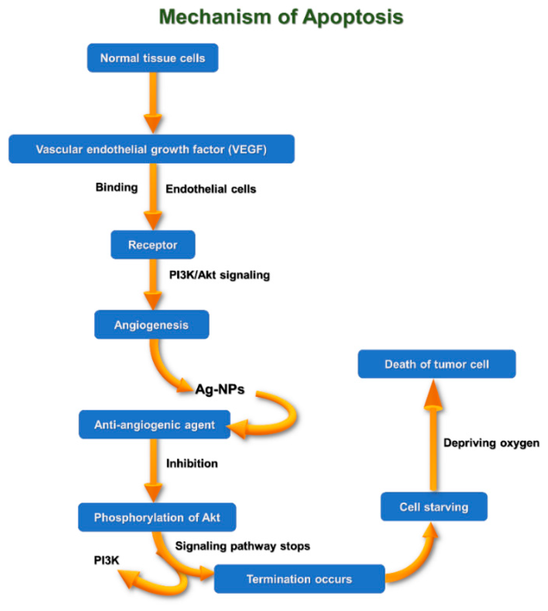 Coatings 11 01215 g011 550