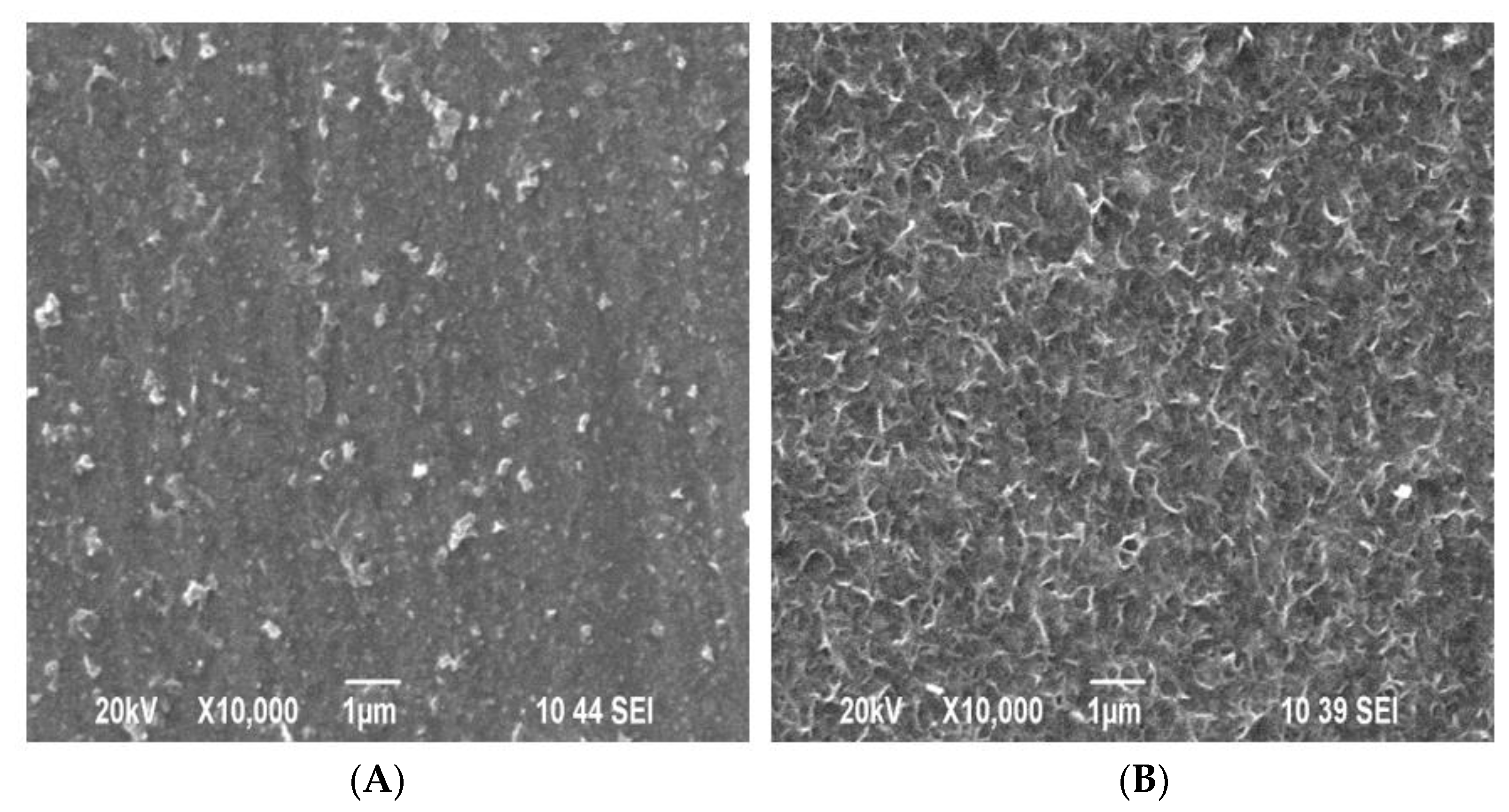 Coatings 11 01223 g001 550