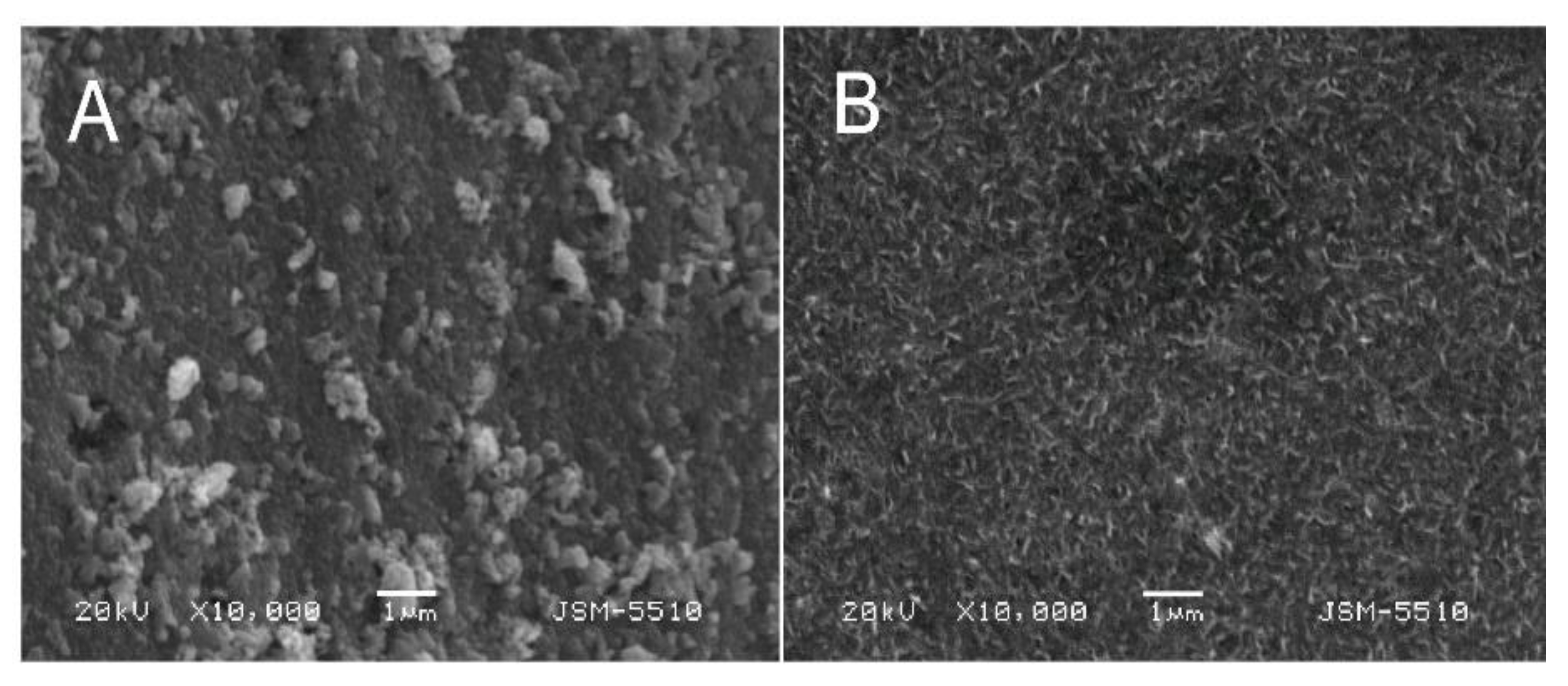 Coatings 11 01223 g002 550
