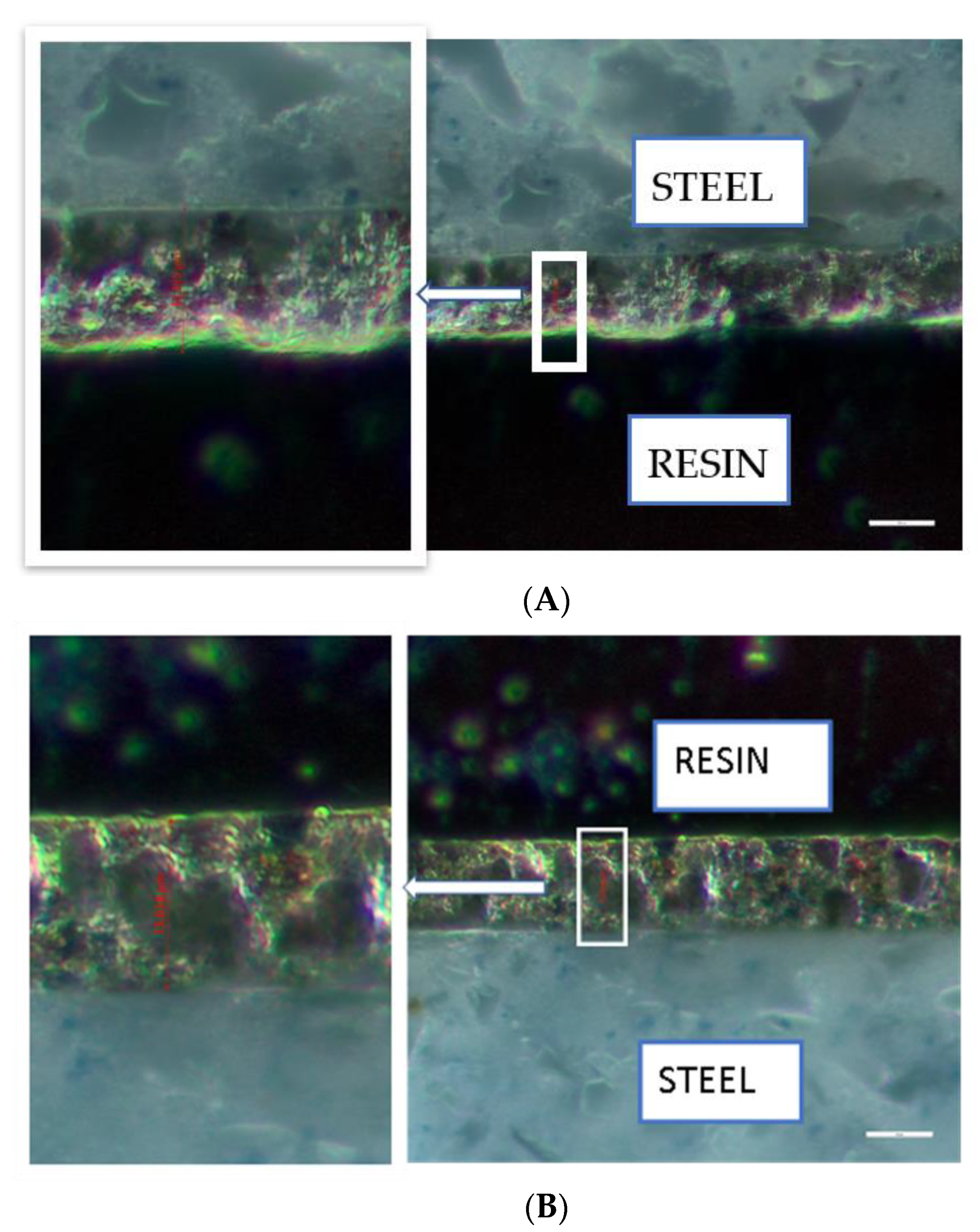 Coatings 11 01223 g003 550