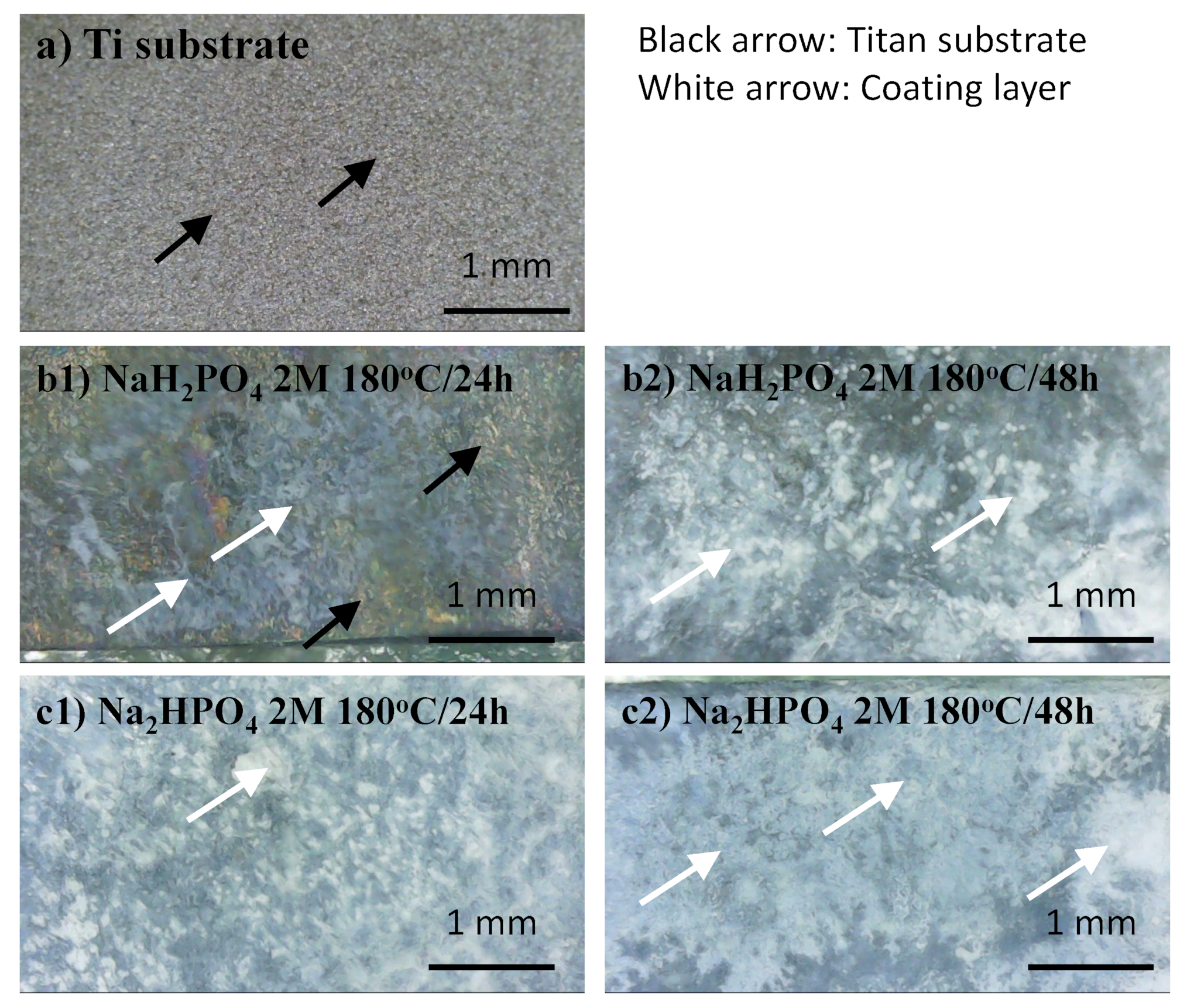 Coatings 11 01226 g002 550