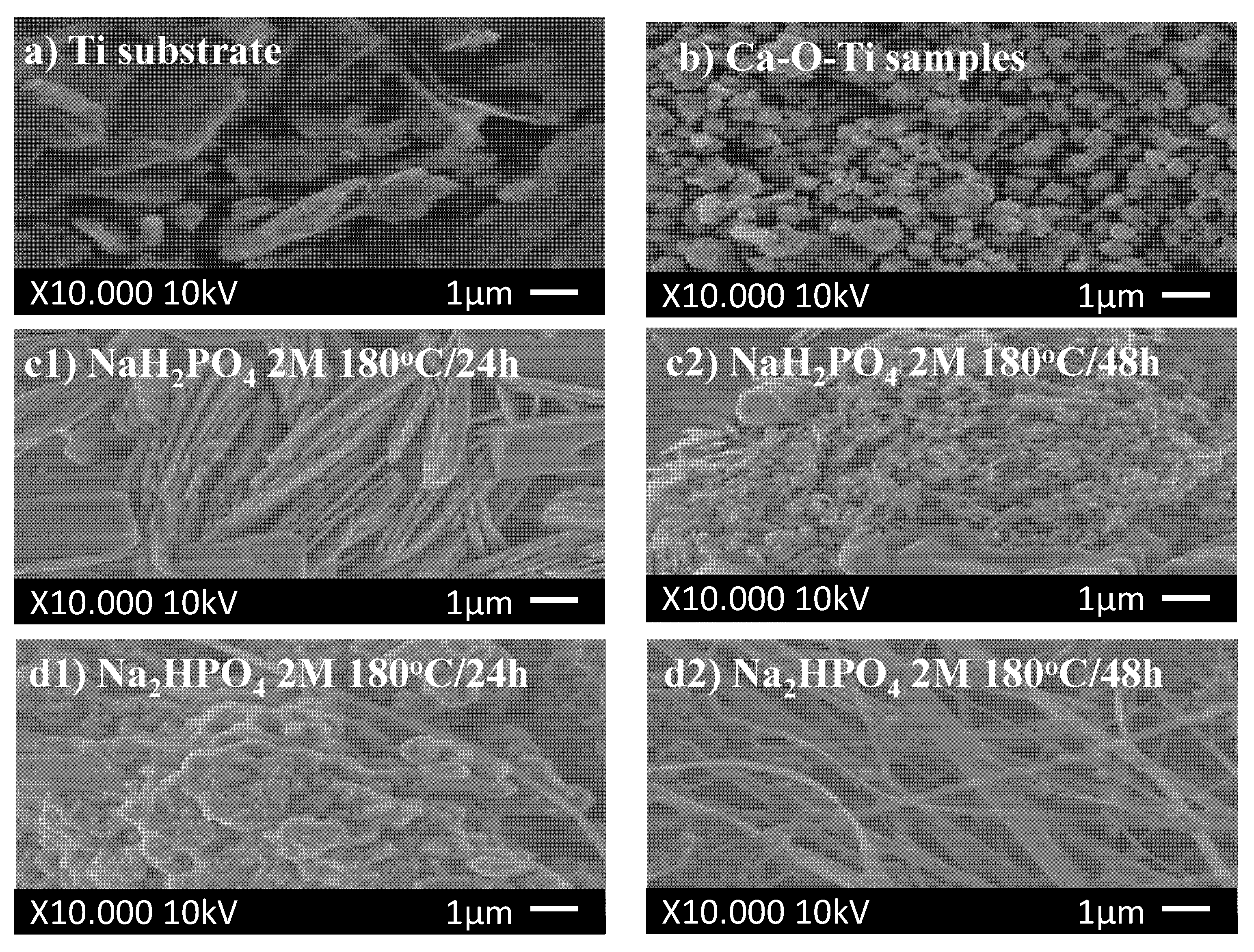 Coatings 11 01226 g004 550