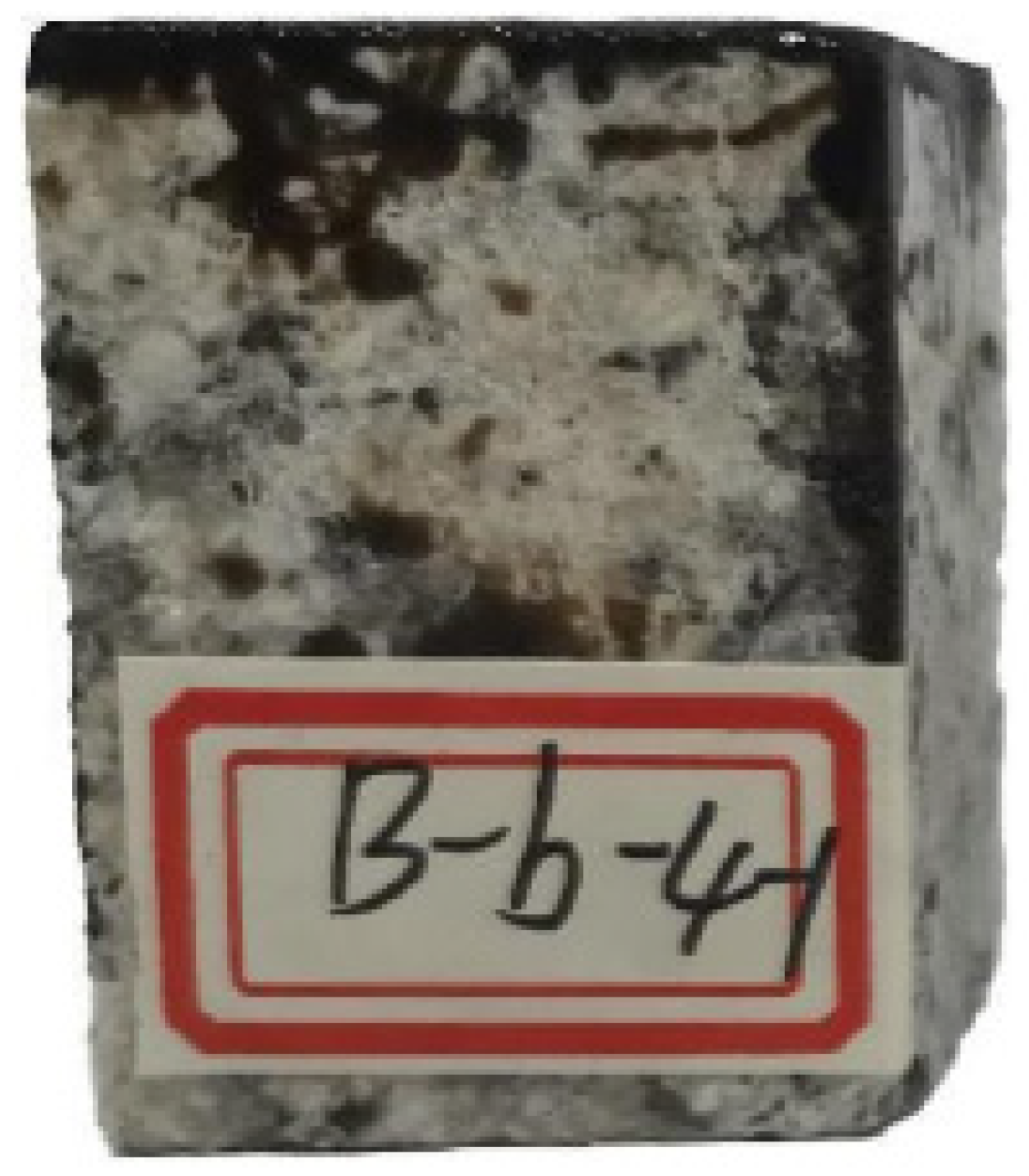 Coatings 11 01231 g004 550