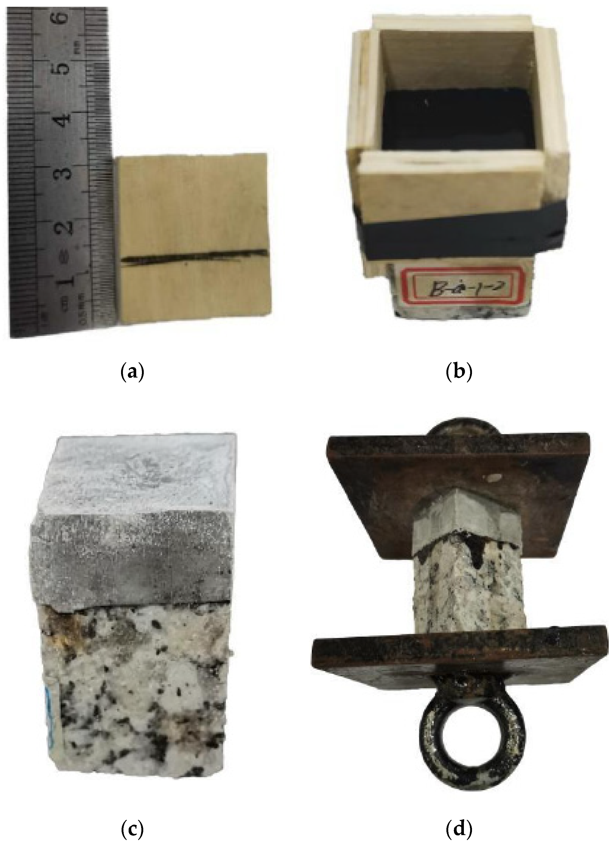 Coatings 11 01231 g005 550