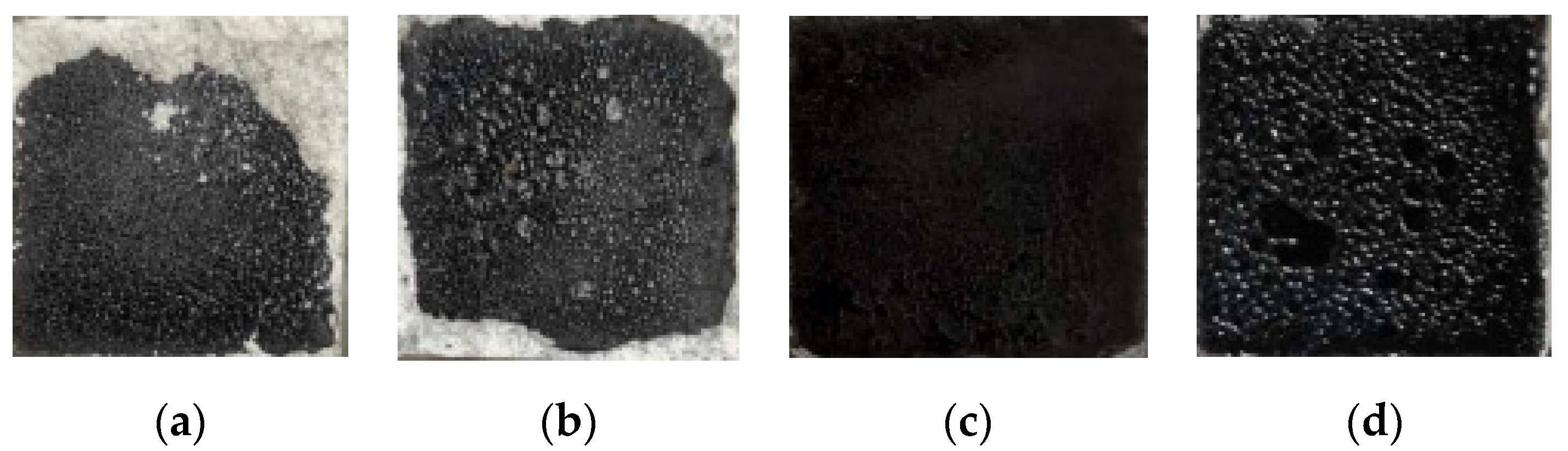 Coatings 11 01231 g012 550