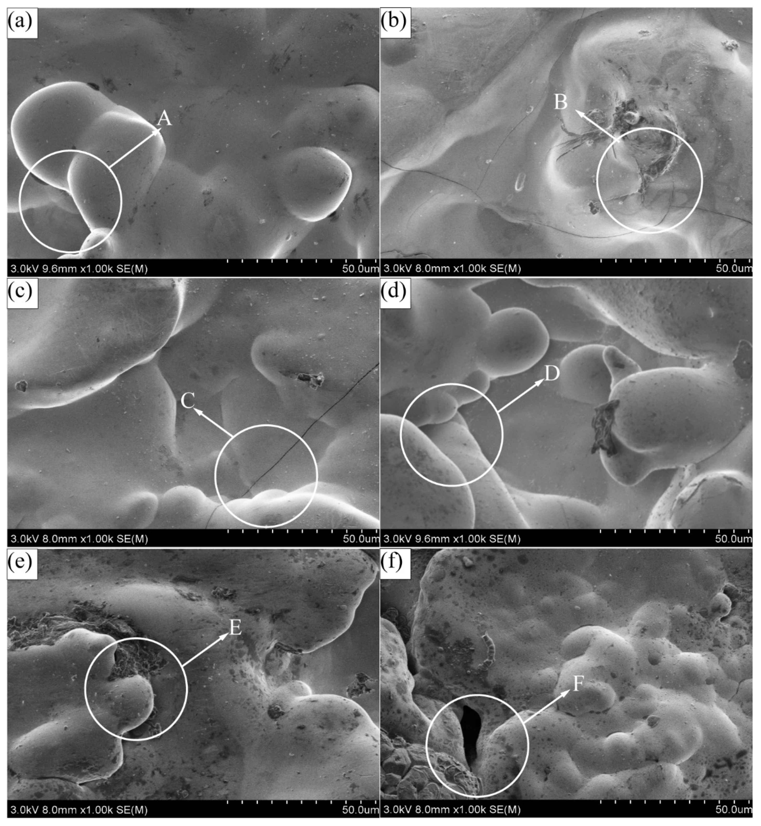 Coatings 11 01237 g002 550