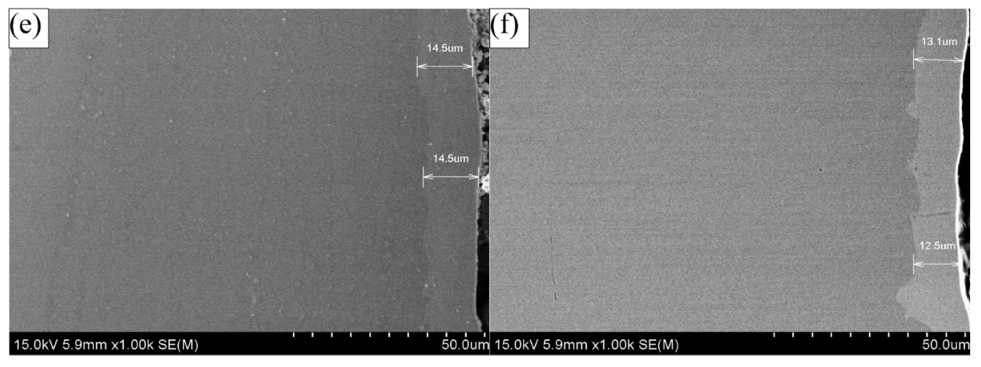 Coatings 11 01237 g003b 550