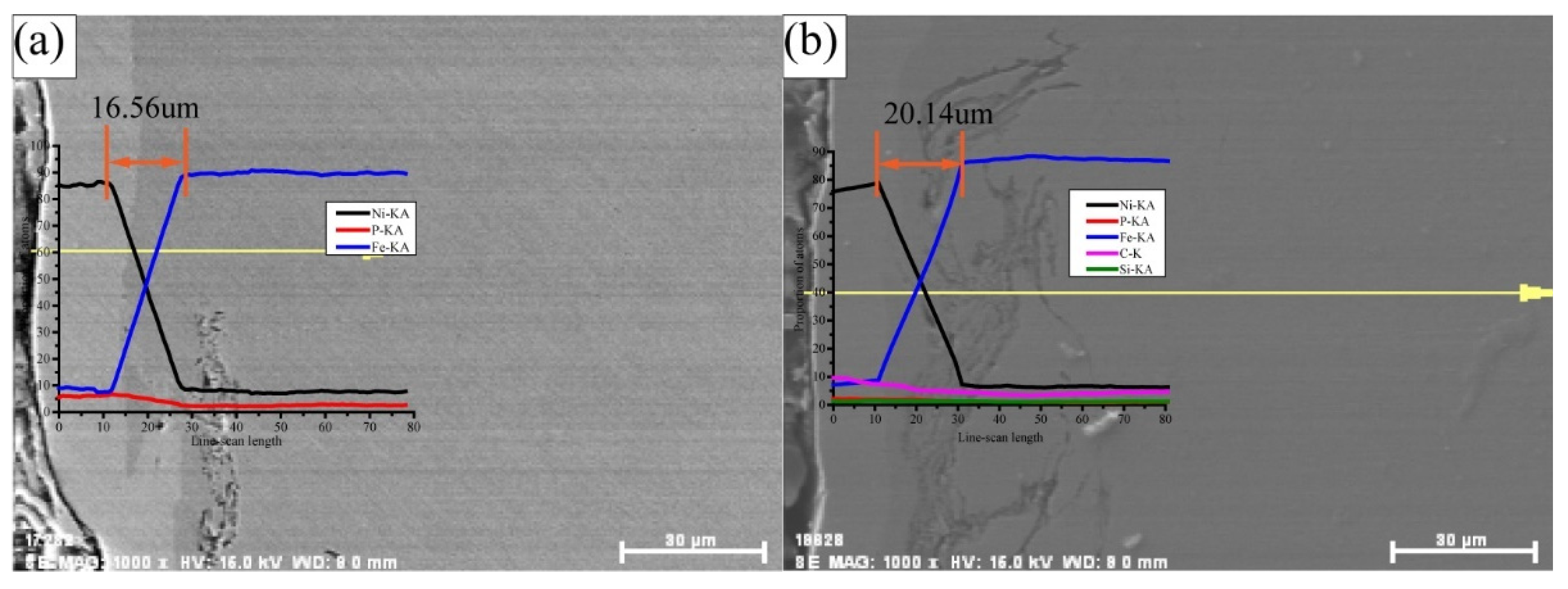 Coatings 11 01237 g004a 550
