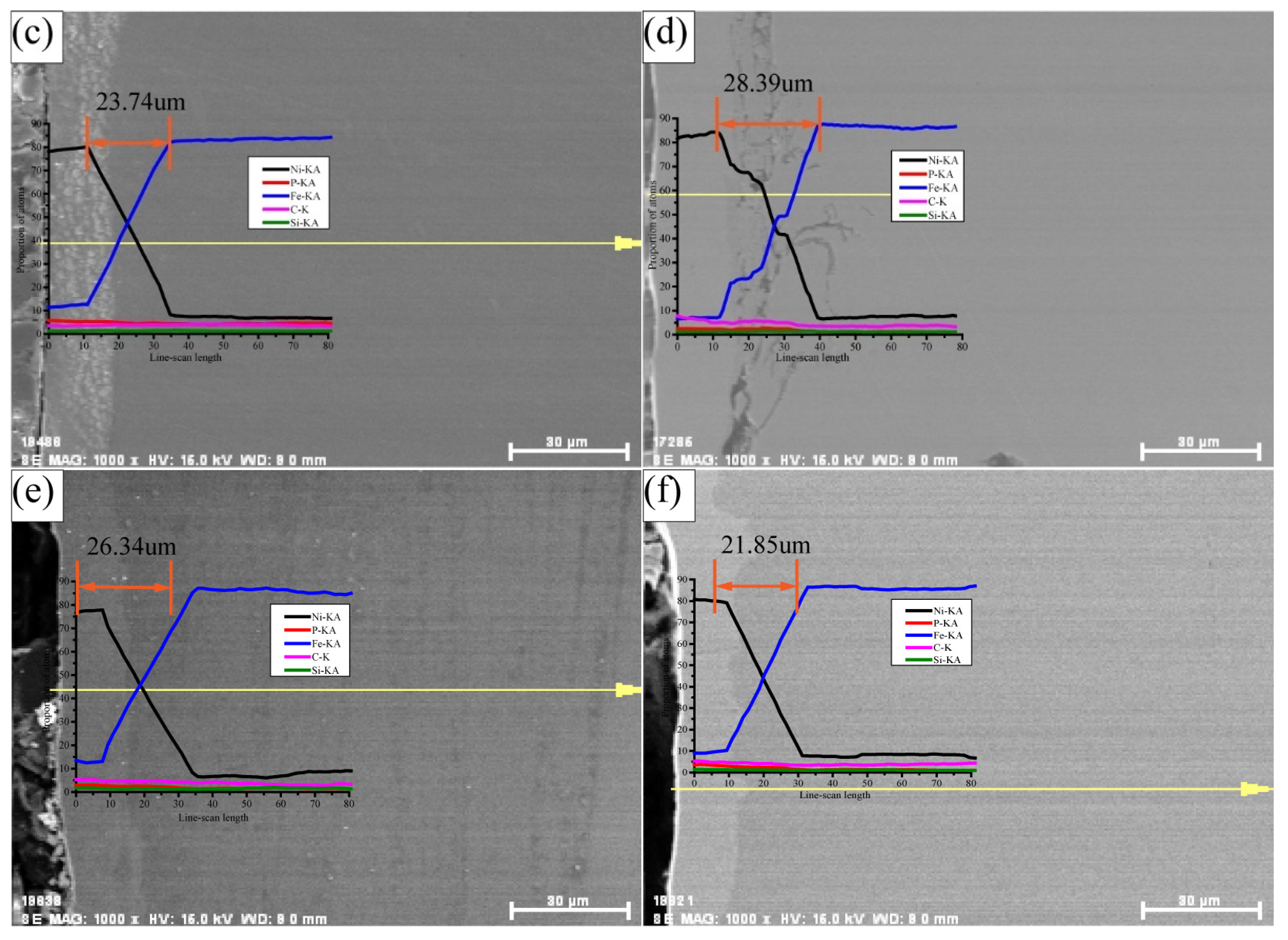 Coatings 11 01237 g004b 550