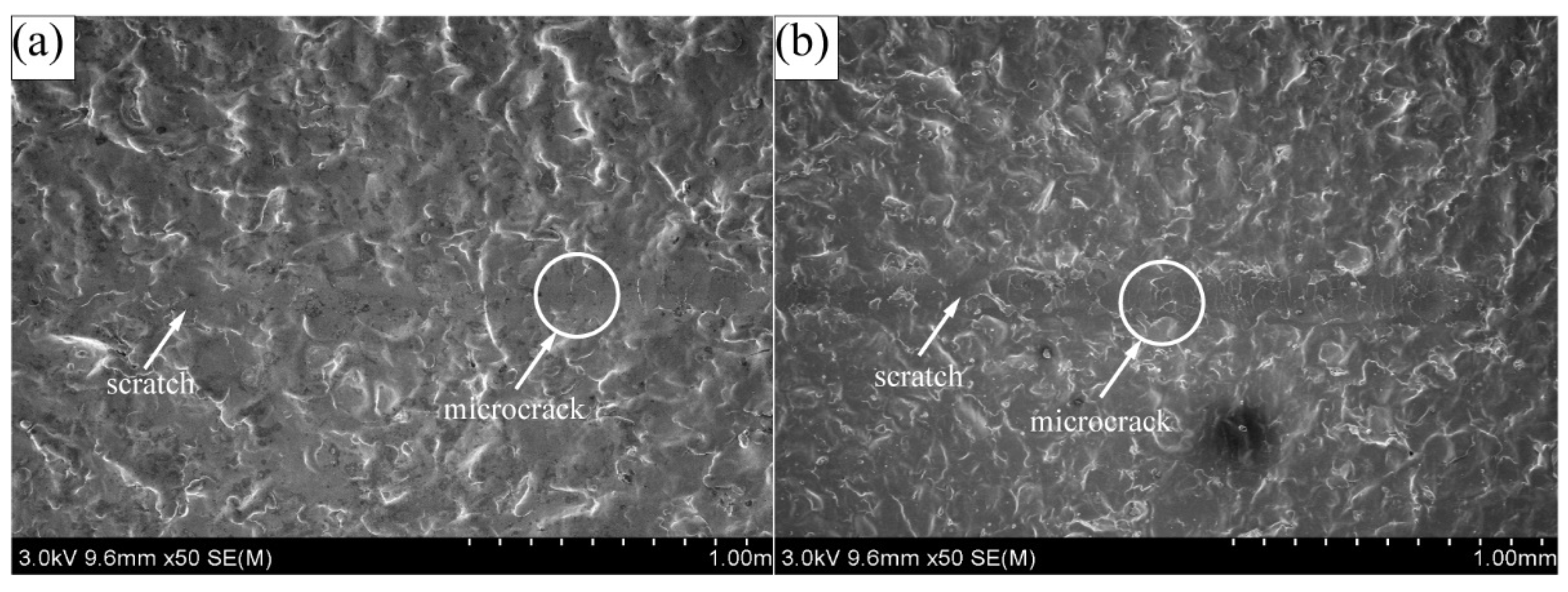 Coatings 11 01237 g008a 550