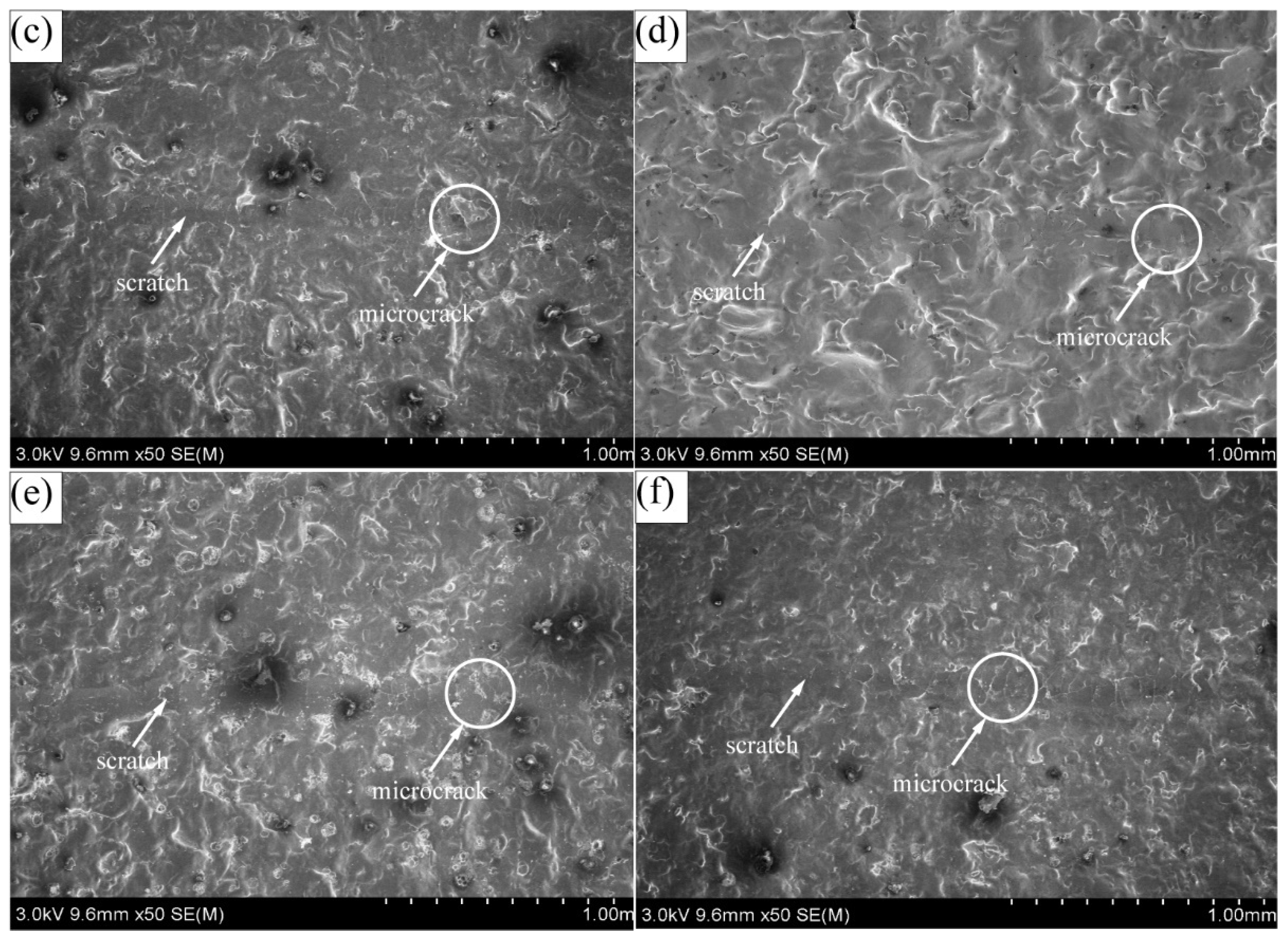Coatings 11 01237 g008b 550