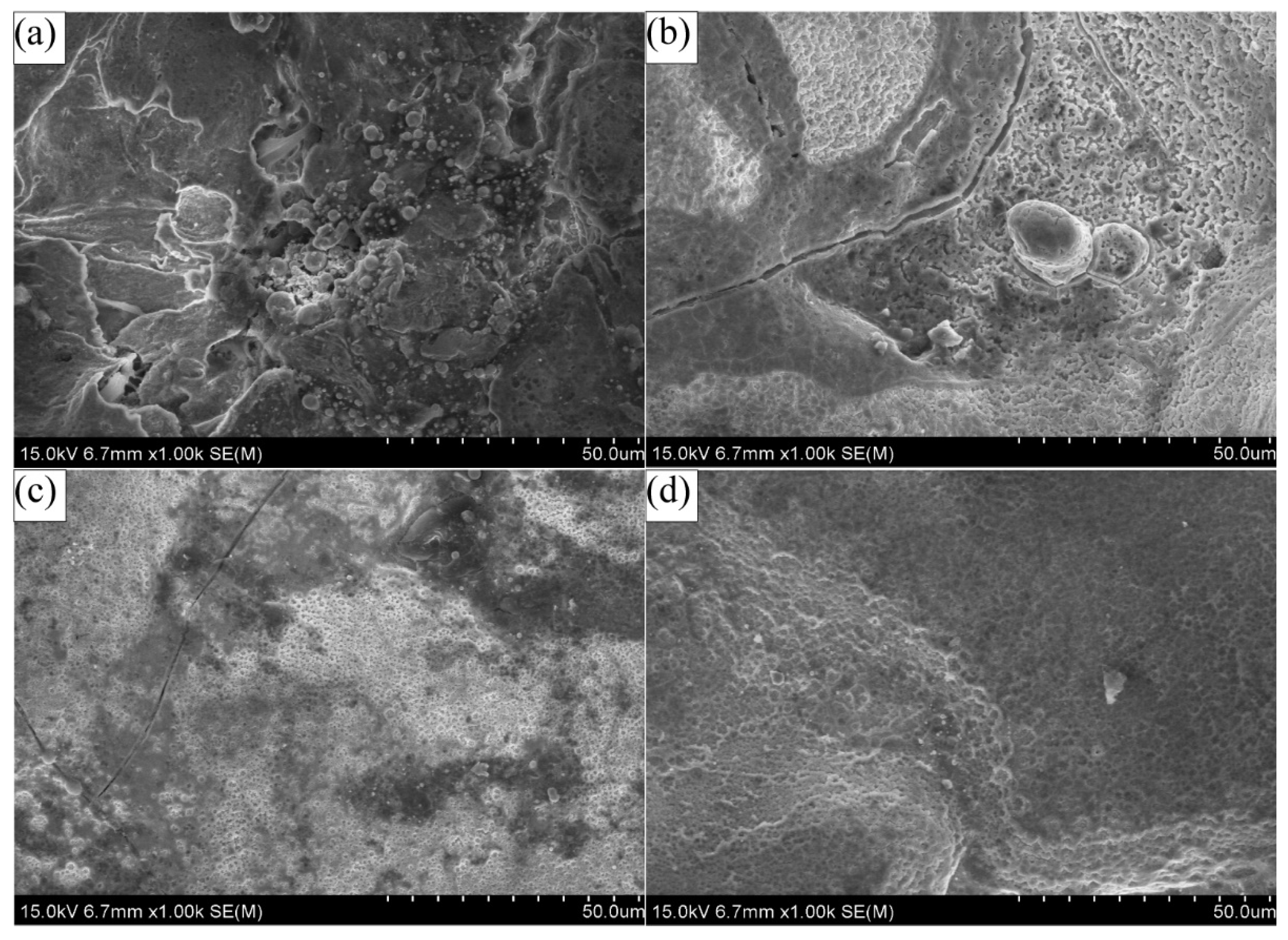 Coatings 11 01237 g013a 550