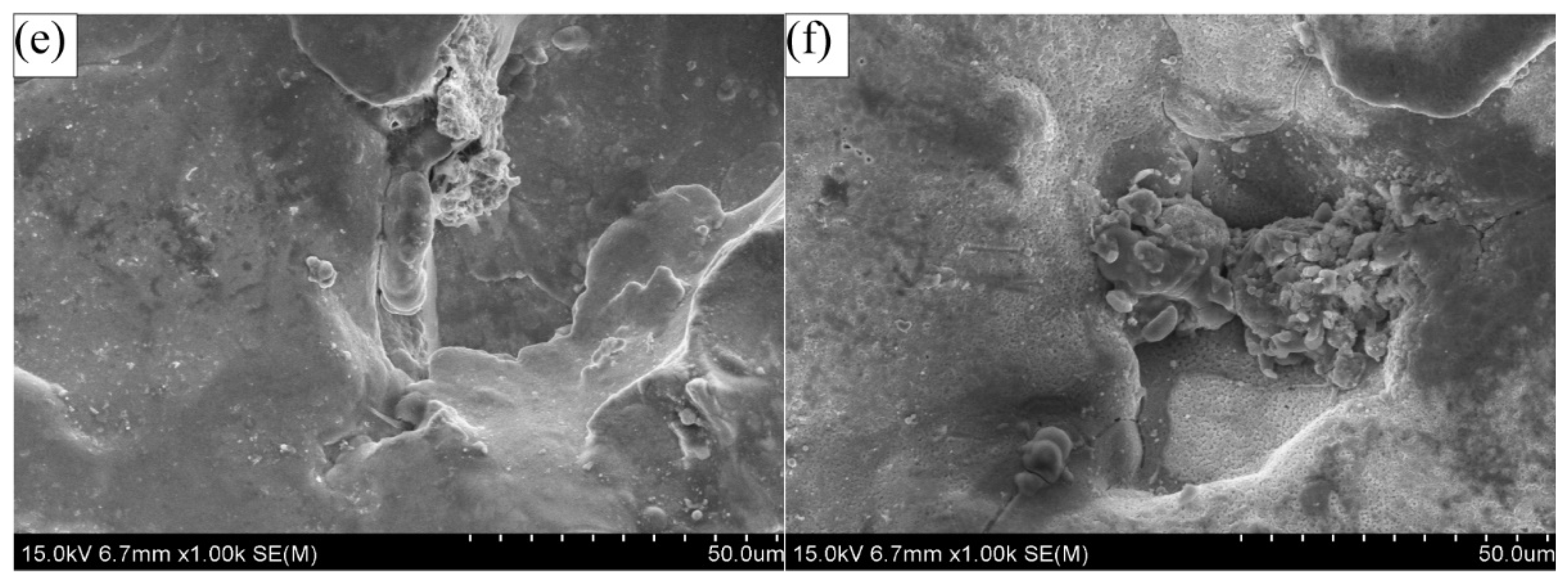 Coatings 11 01237 g013b 550