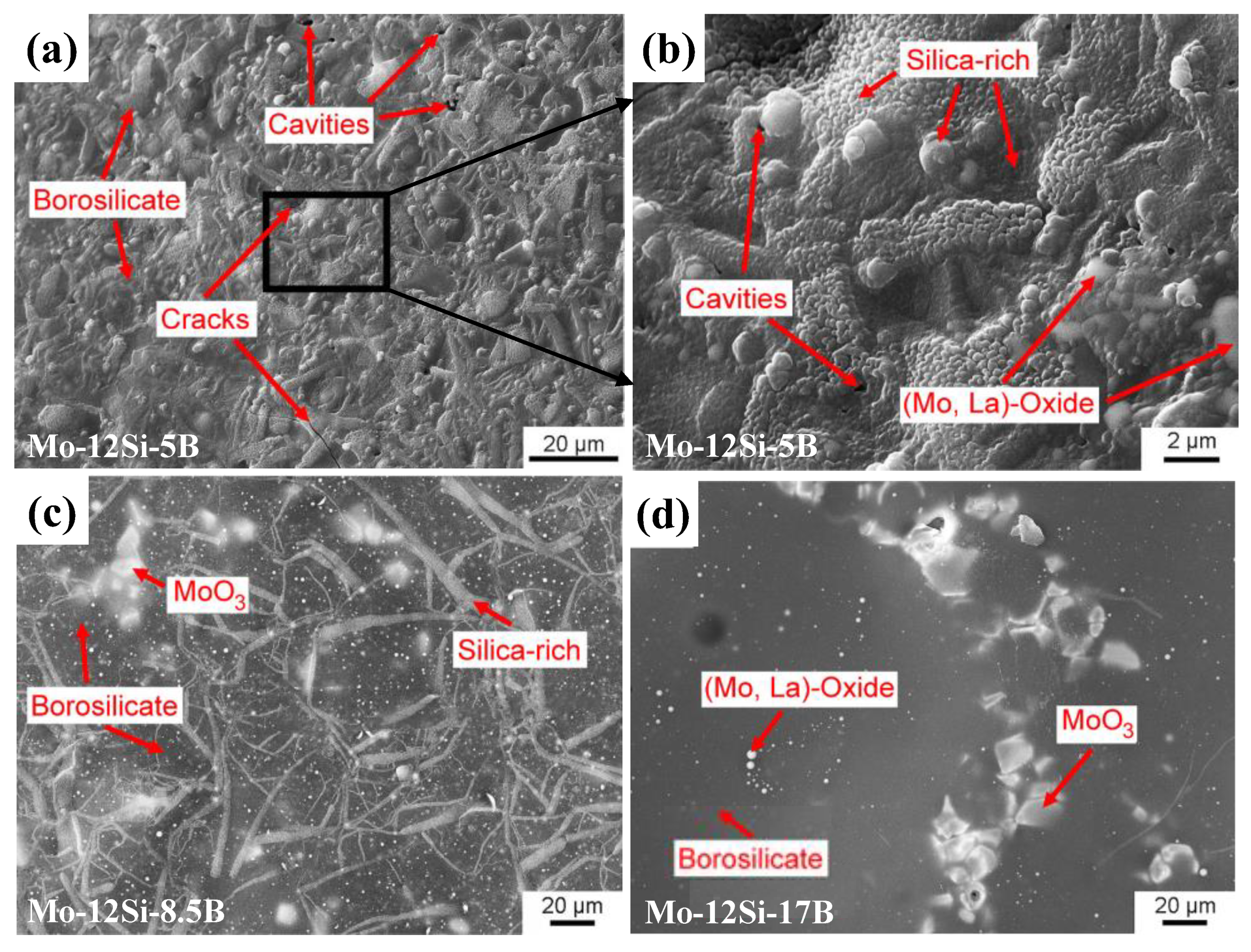 Coatings 11 01256 g005 Coatings 11 01256 g005