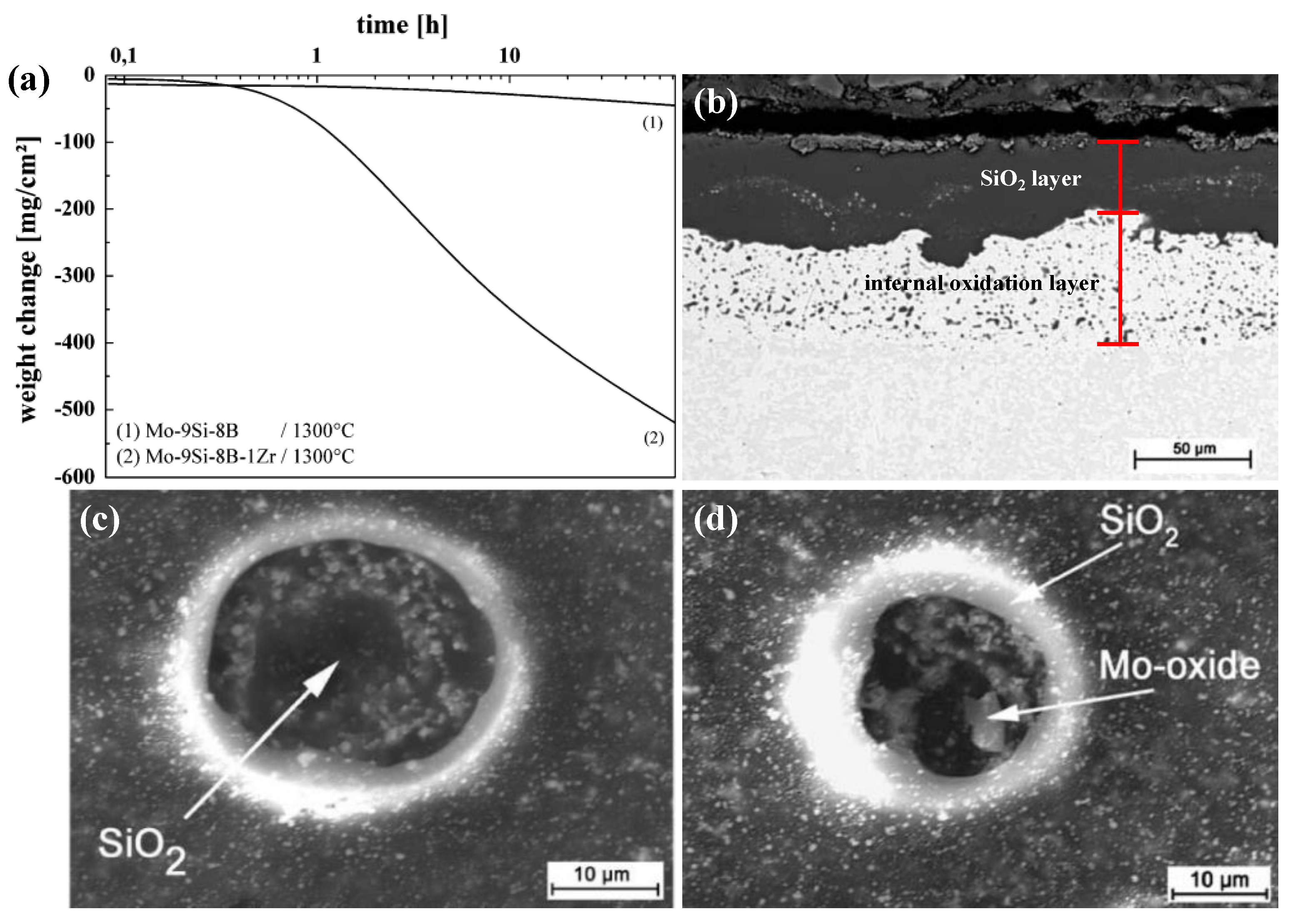 Coatings 11 01256 g010 Coatings 11 01256 g010