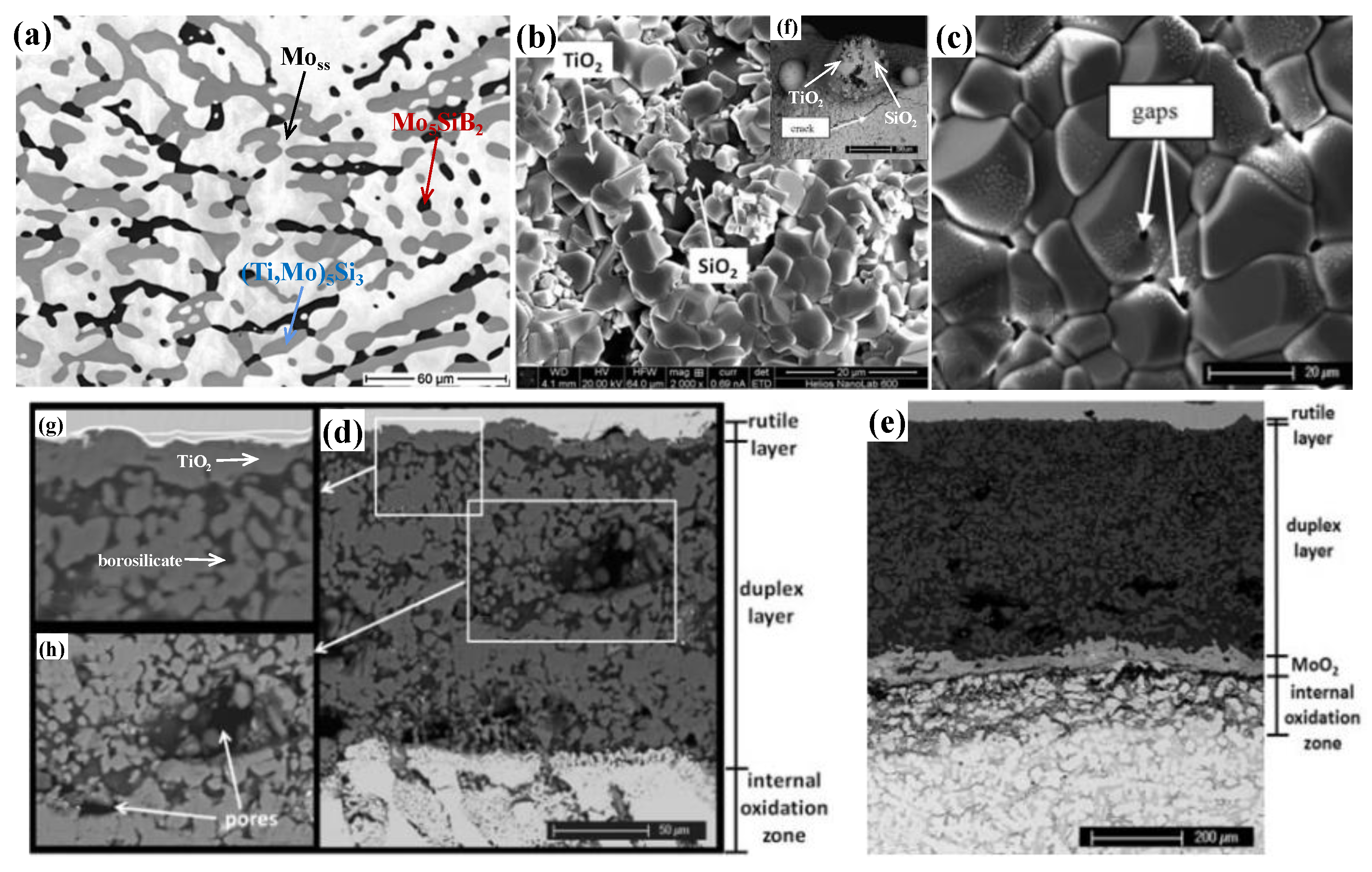 Coatings 11 01256 g012 Coatings 11 01256 g012