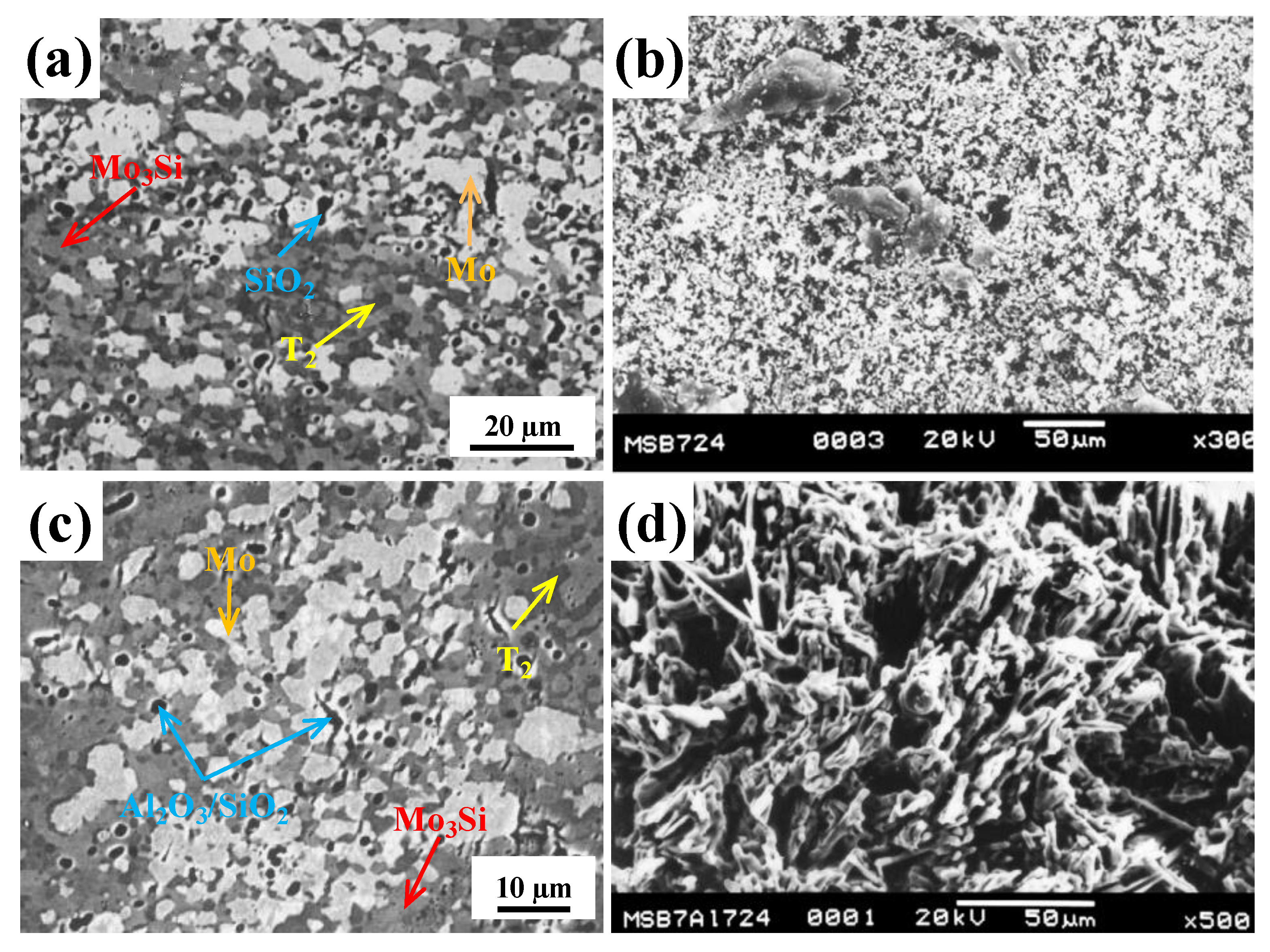Coatings 11 01256 g013 Coatings 11 01256 g013