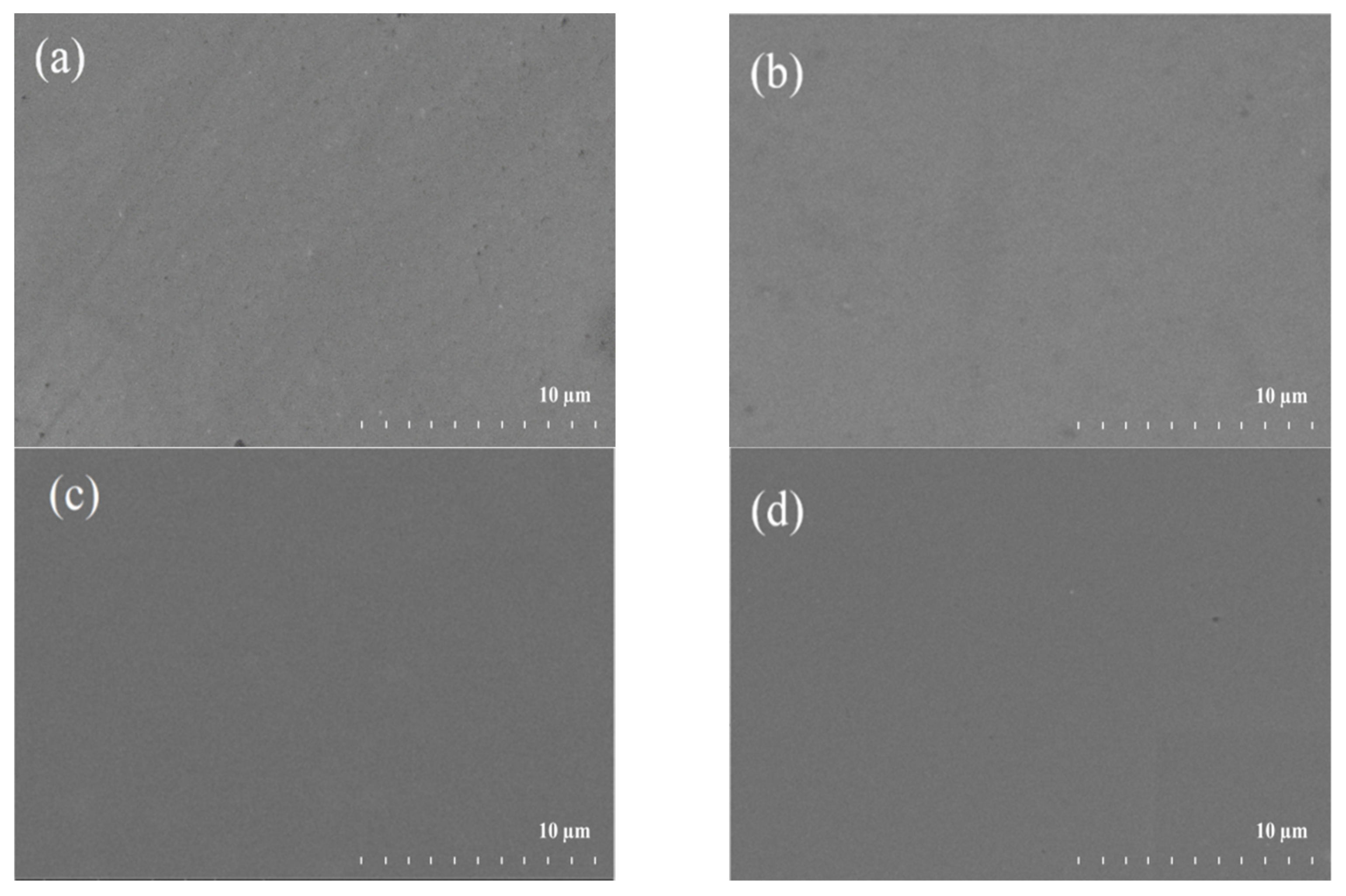 Coatings 11 01262 g002 550