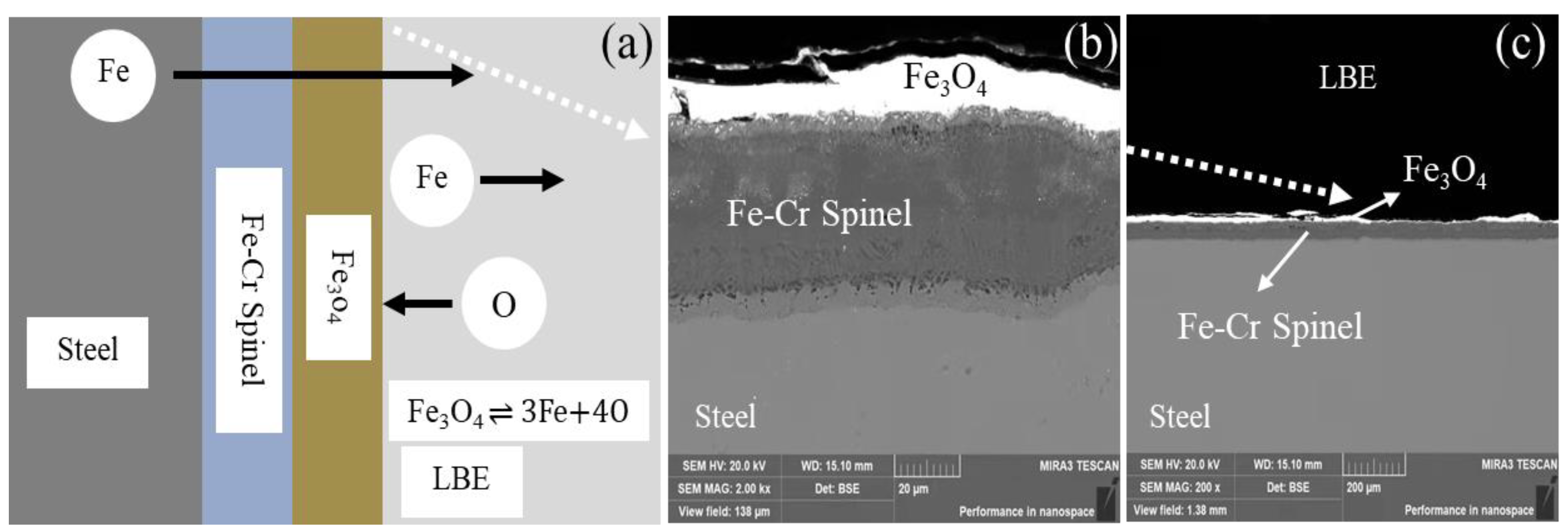 Coatings 11 01263 g001
