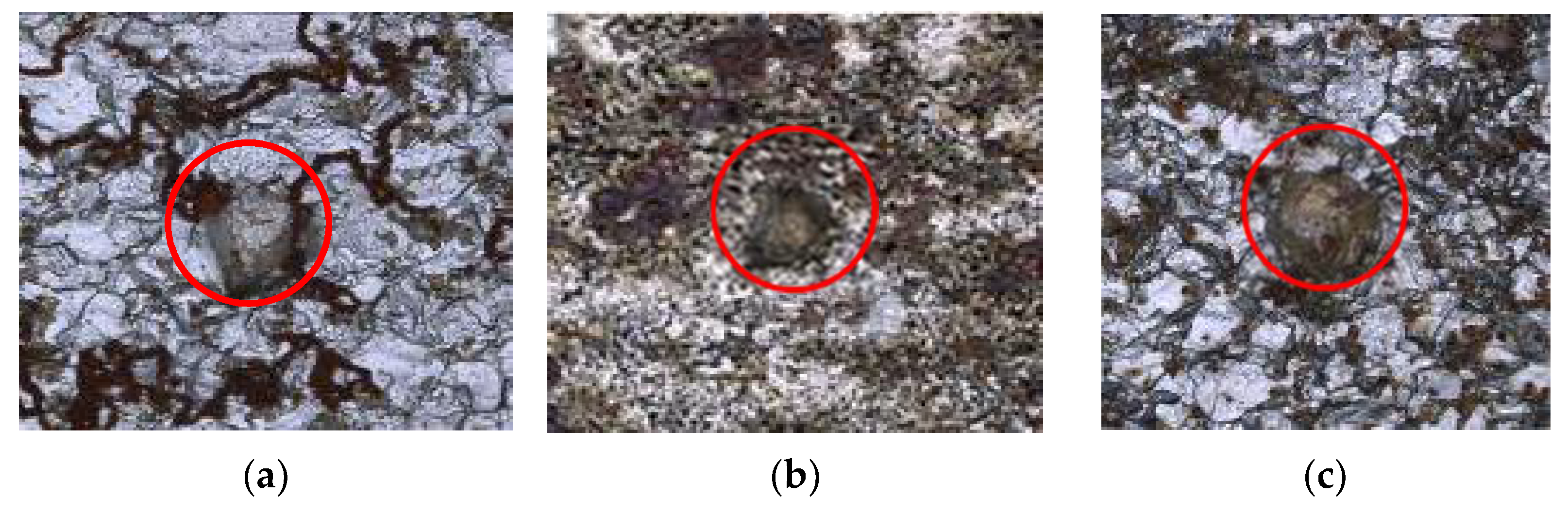 Coatings 11 01269 g002