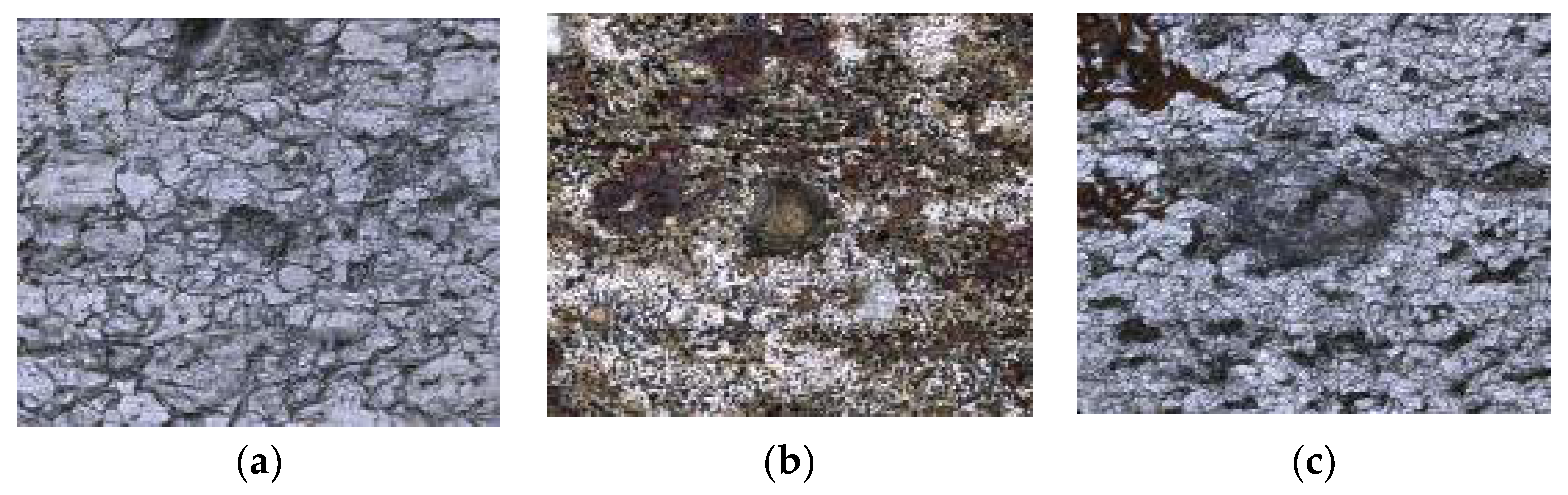 Coatings 11 01269 g004