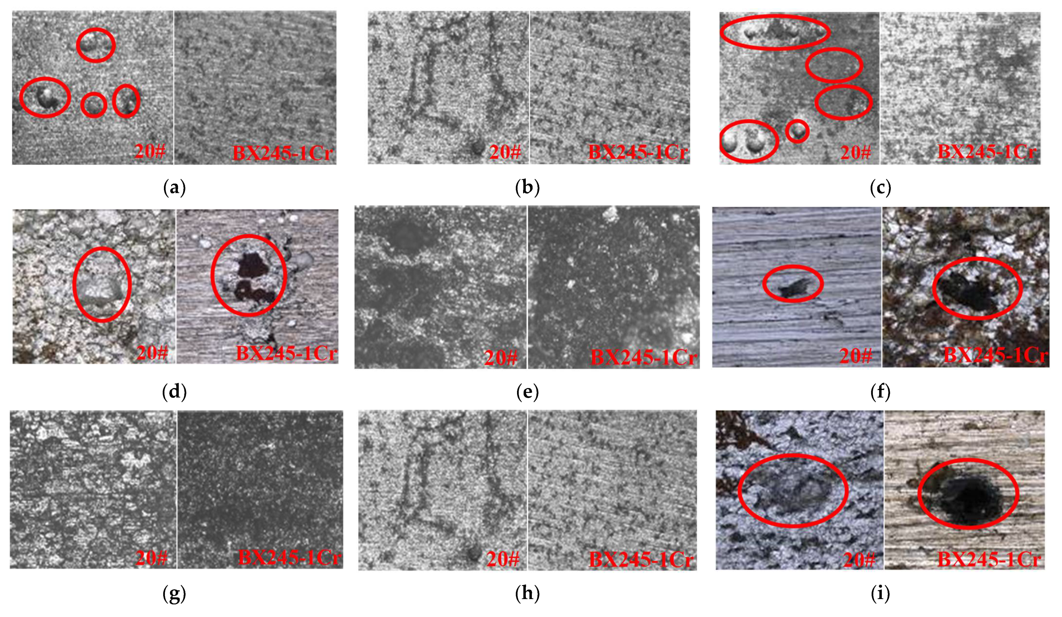 Coatings 11 01269 g015
