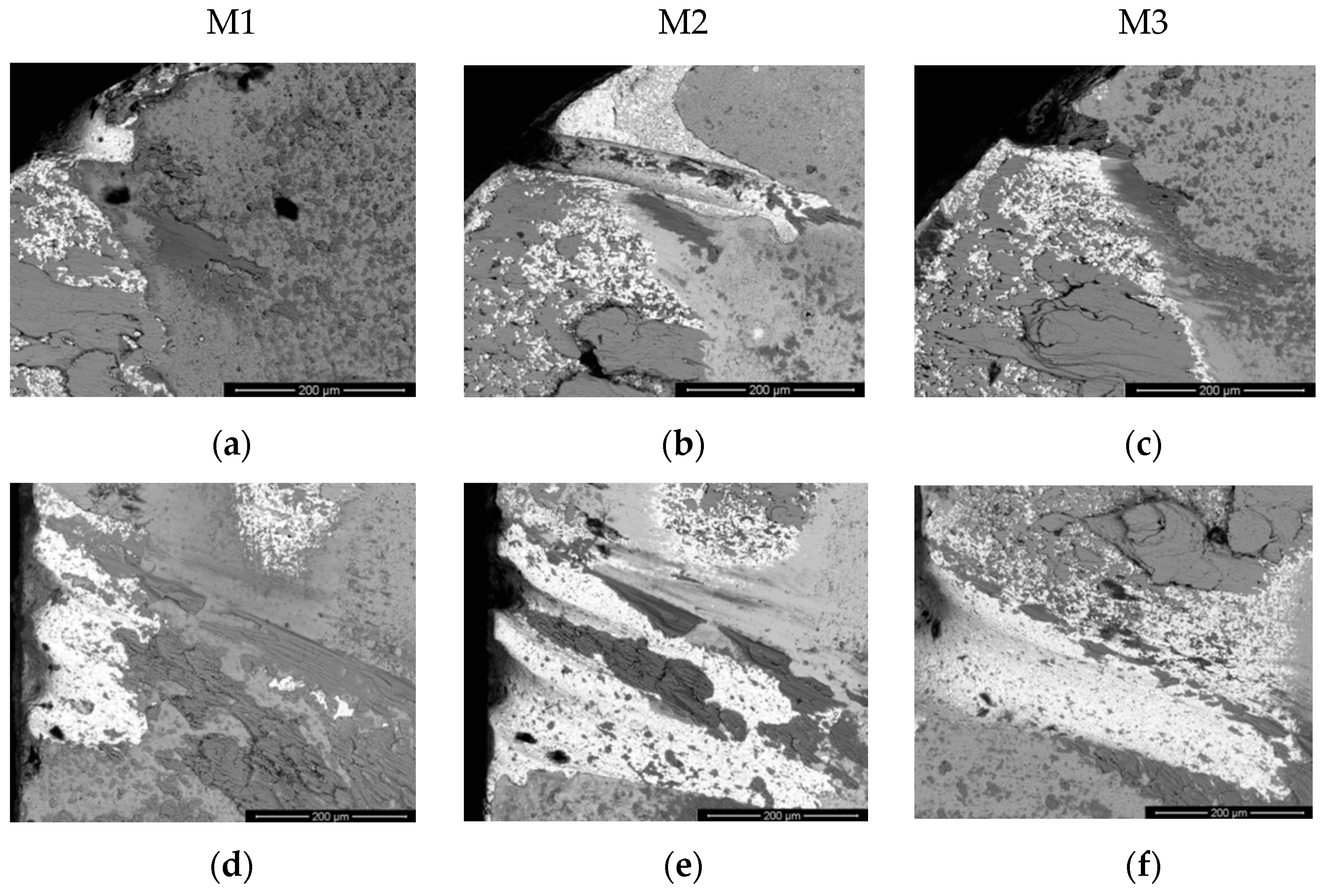 Coatings 11 01271 g004