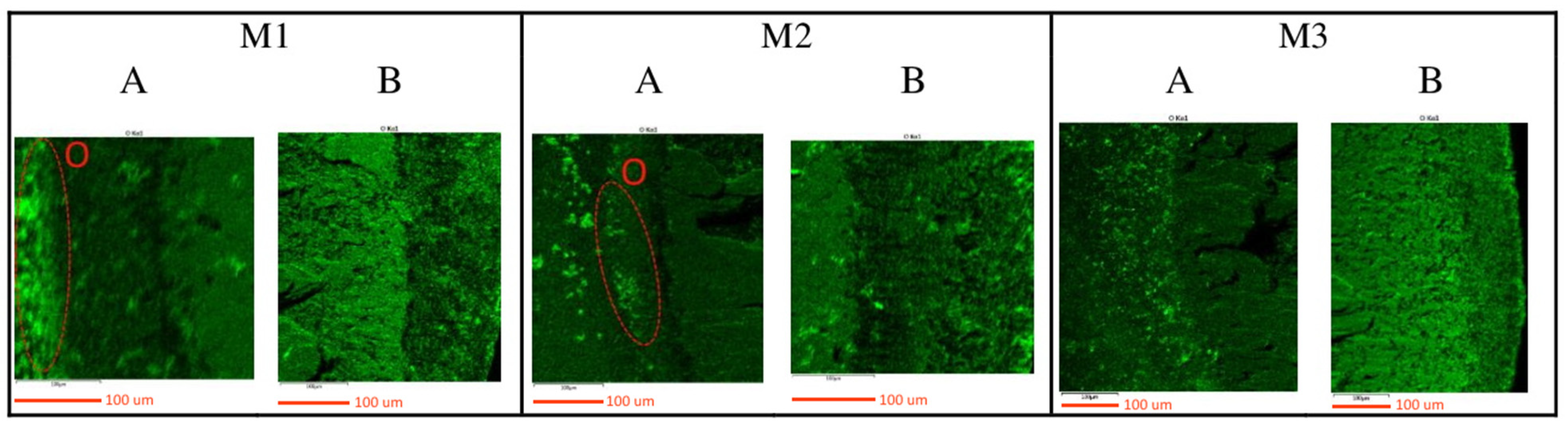 Coatings 11 01271 g007