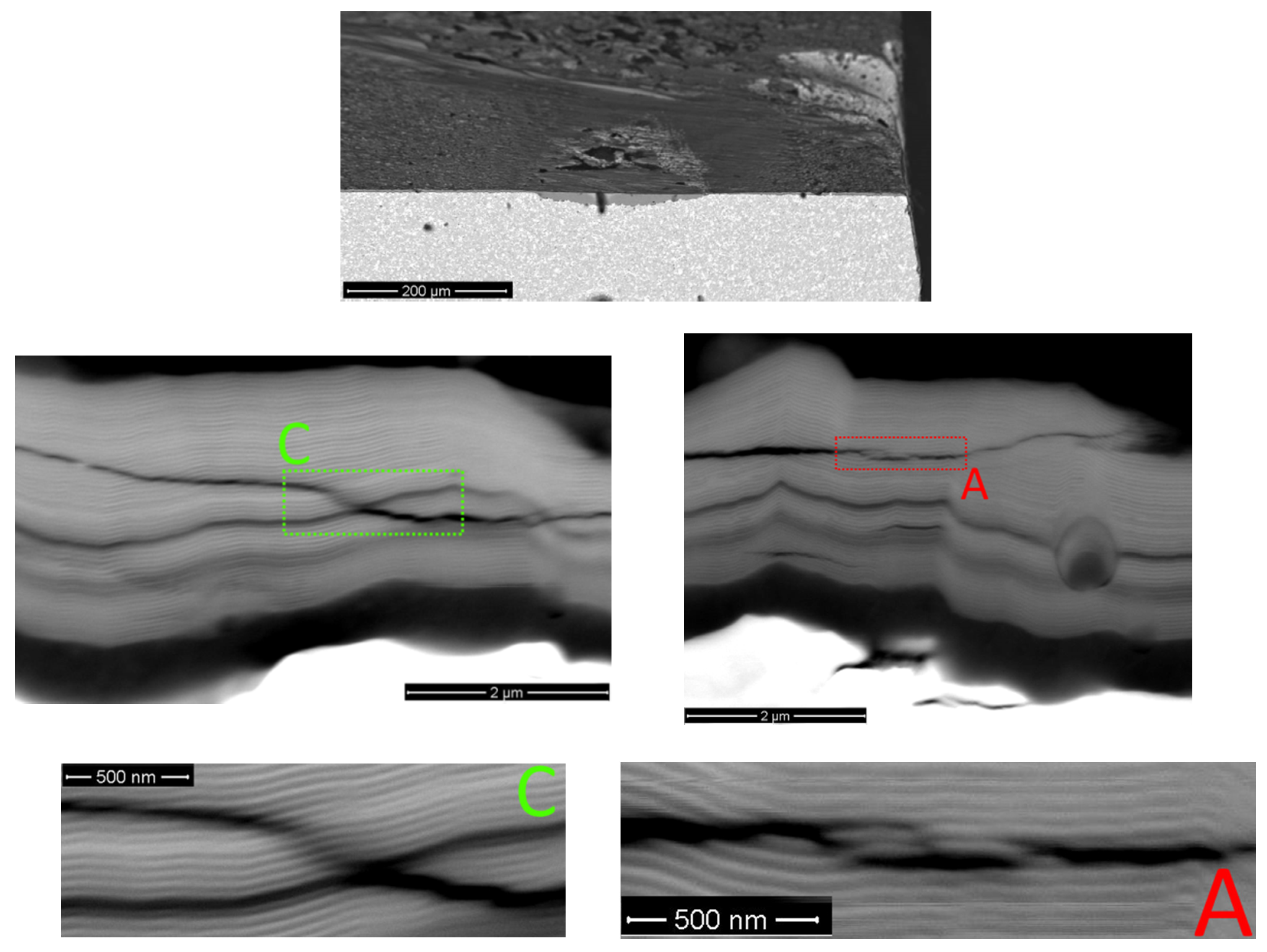 Coatings 11 01271 g008