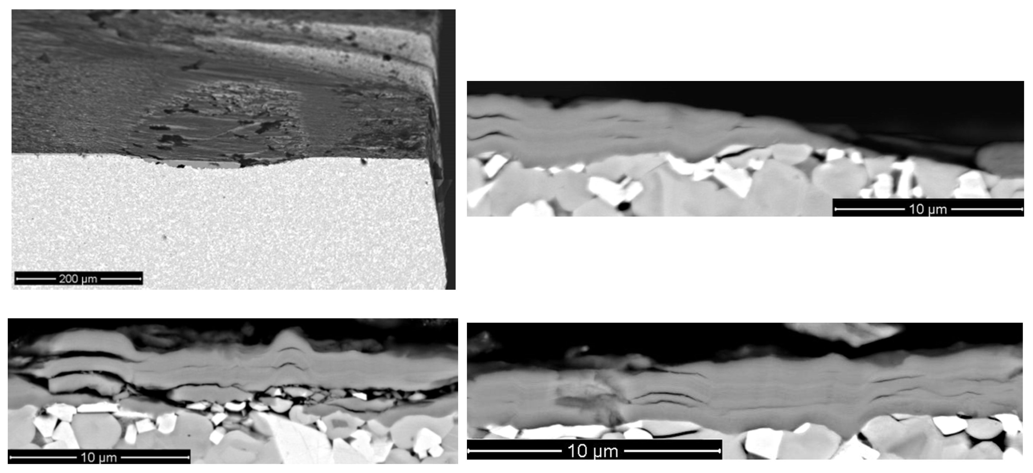 Coatings 11 01271 g009