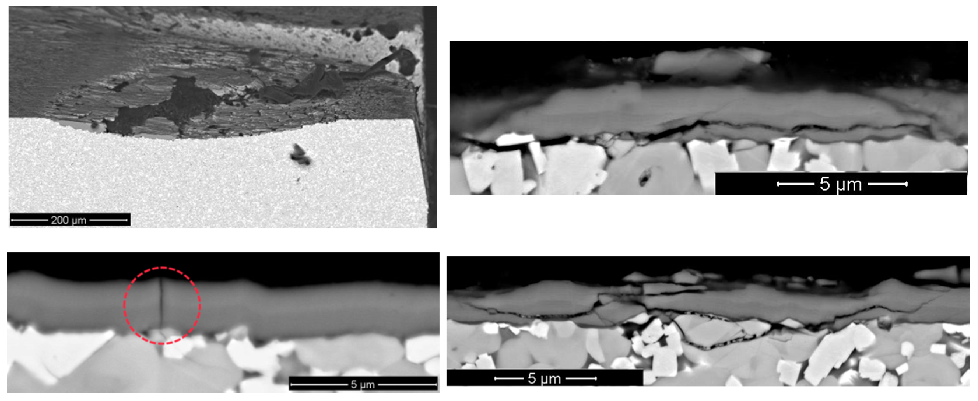 Coatings 11 01271 g010