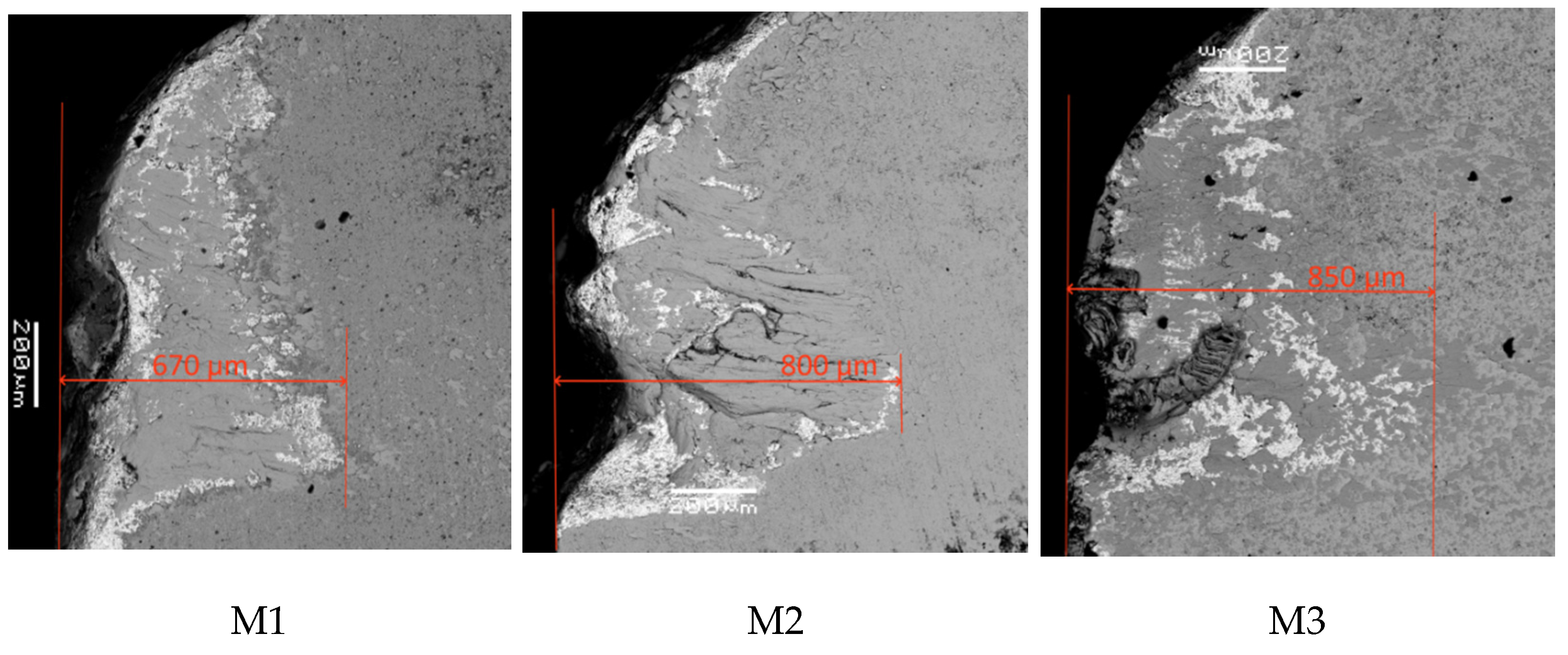 Coatings 11 01271 g012