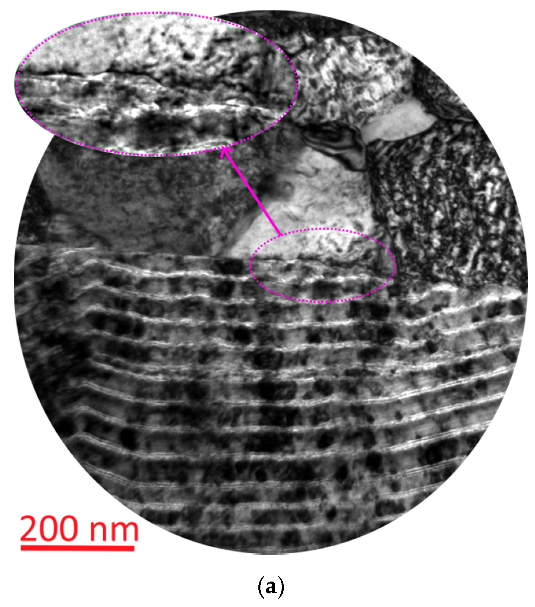 Coatings 11 01271 g015a