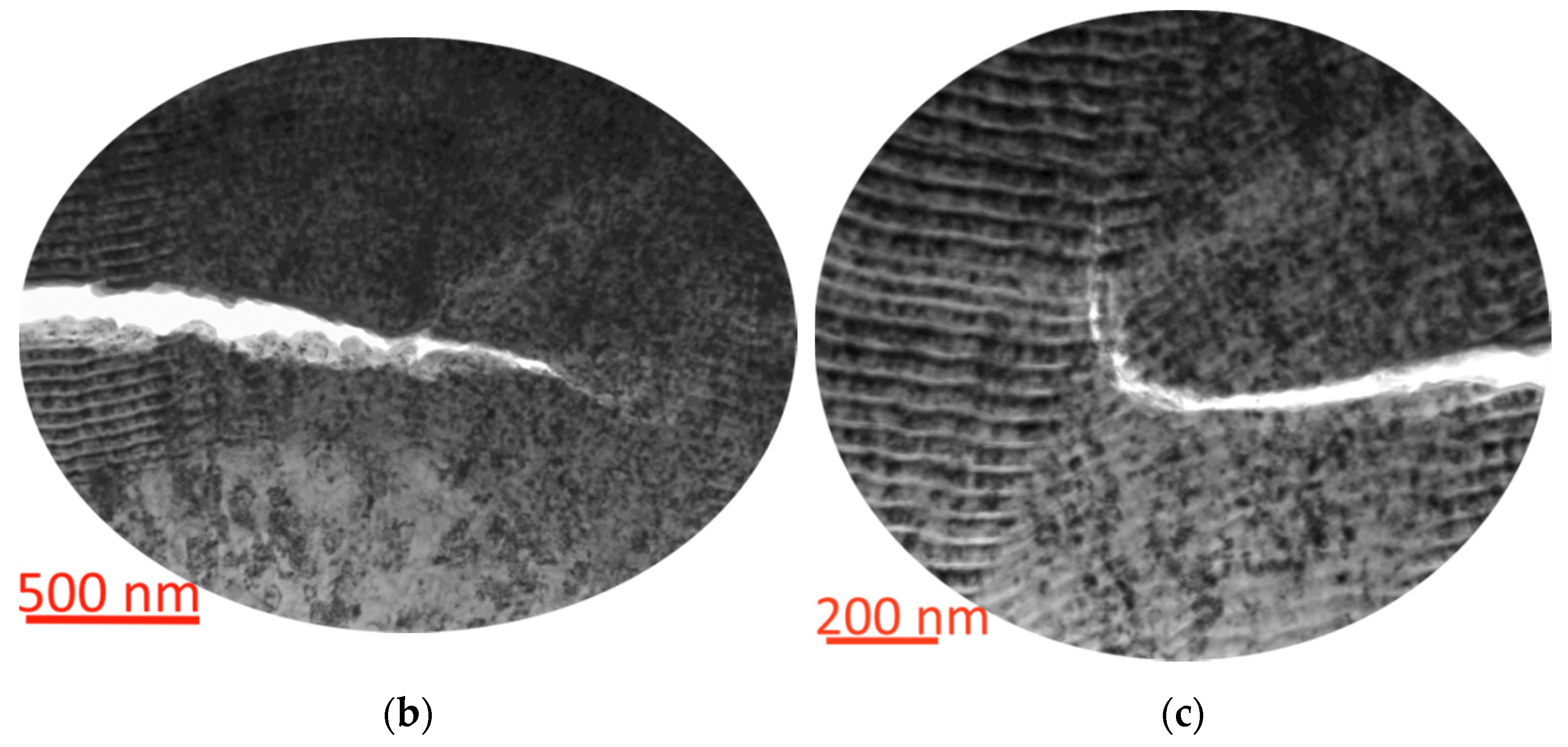 Coatings 11 01271 g015b