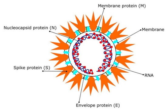 How a Virtual Vaccinology Conference Catalyzed the Scientific