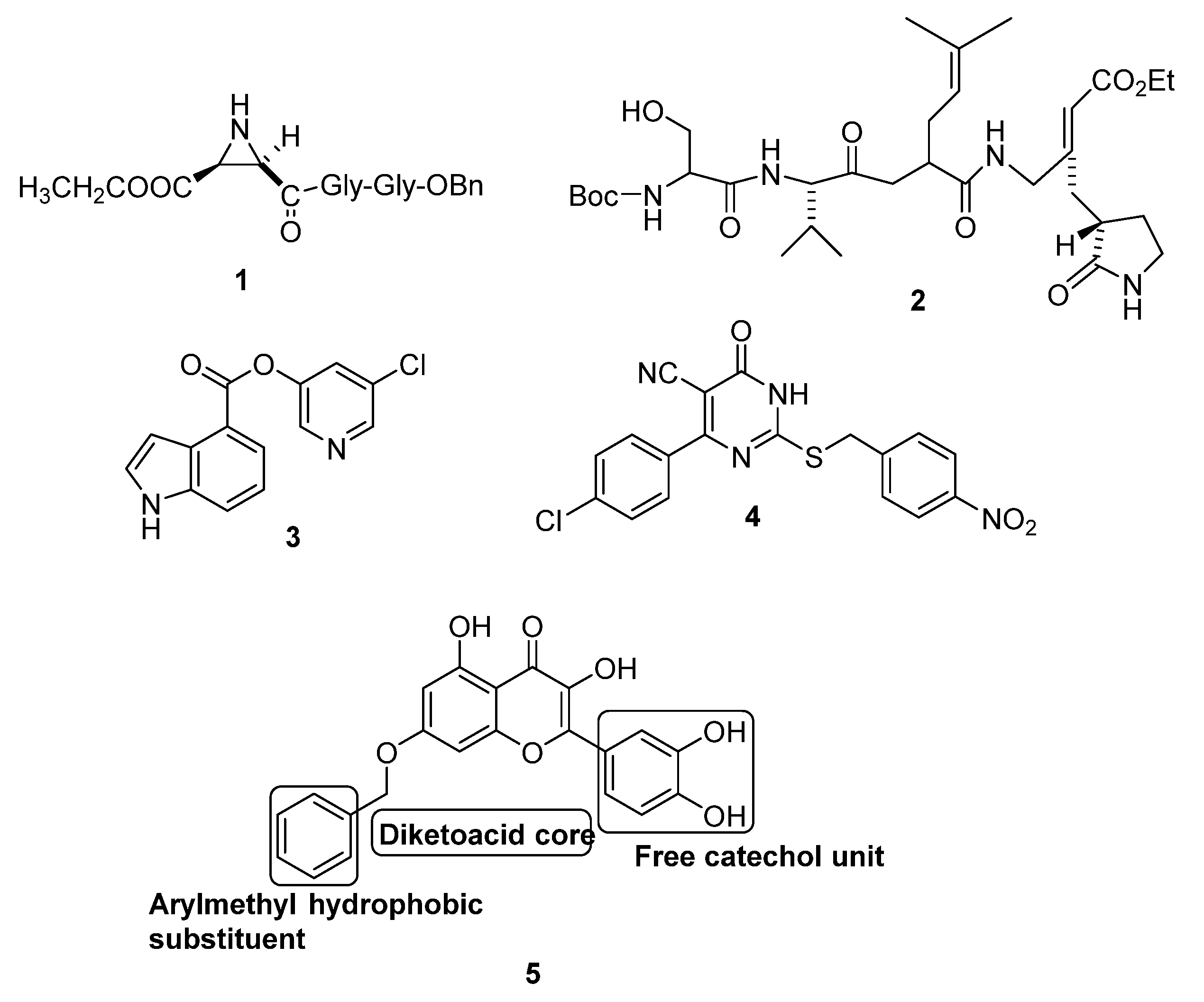 Coatings 11 01273 g002