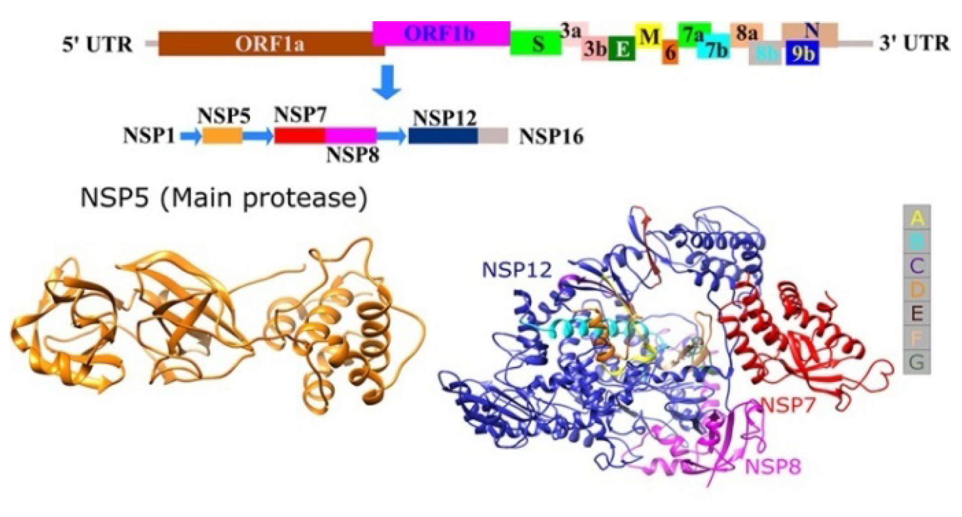 Coatings 11 01273 g003
