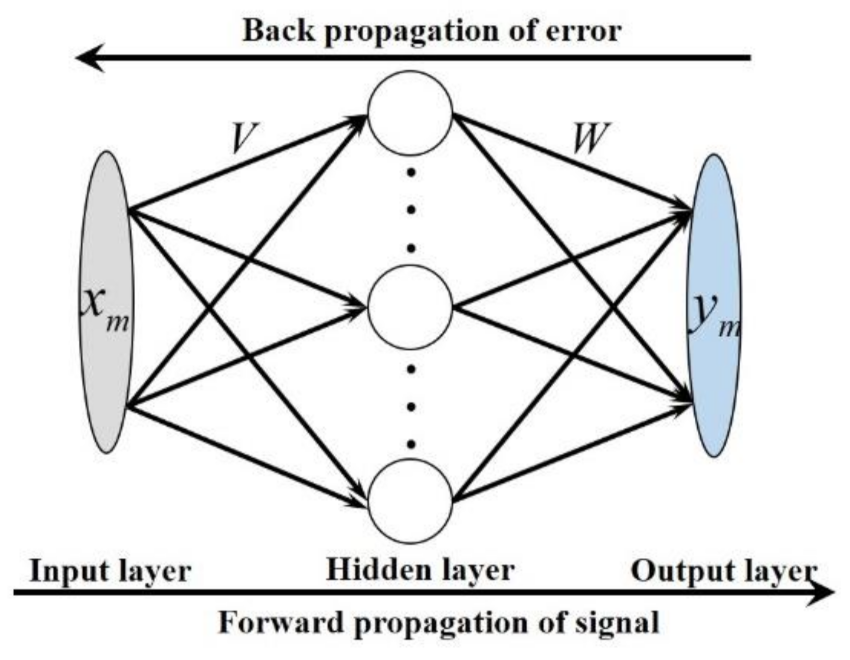 Coatings 11 01274 g004