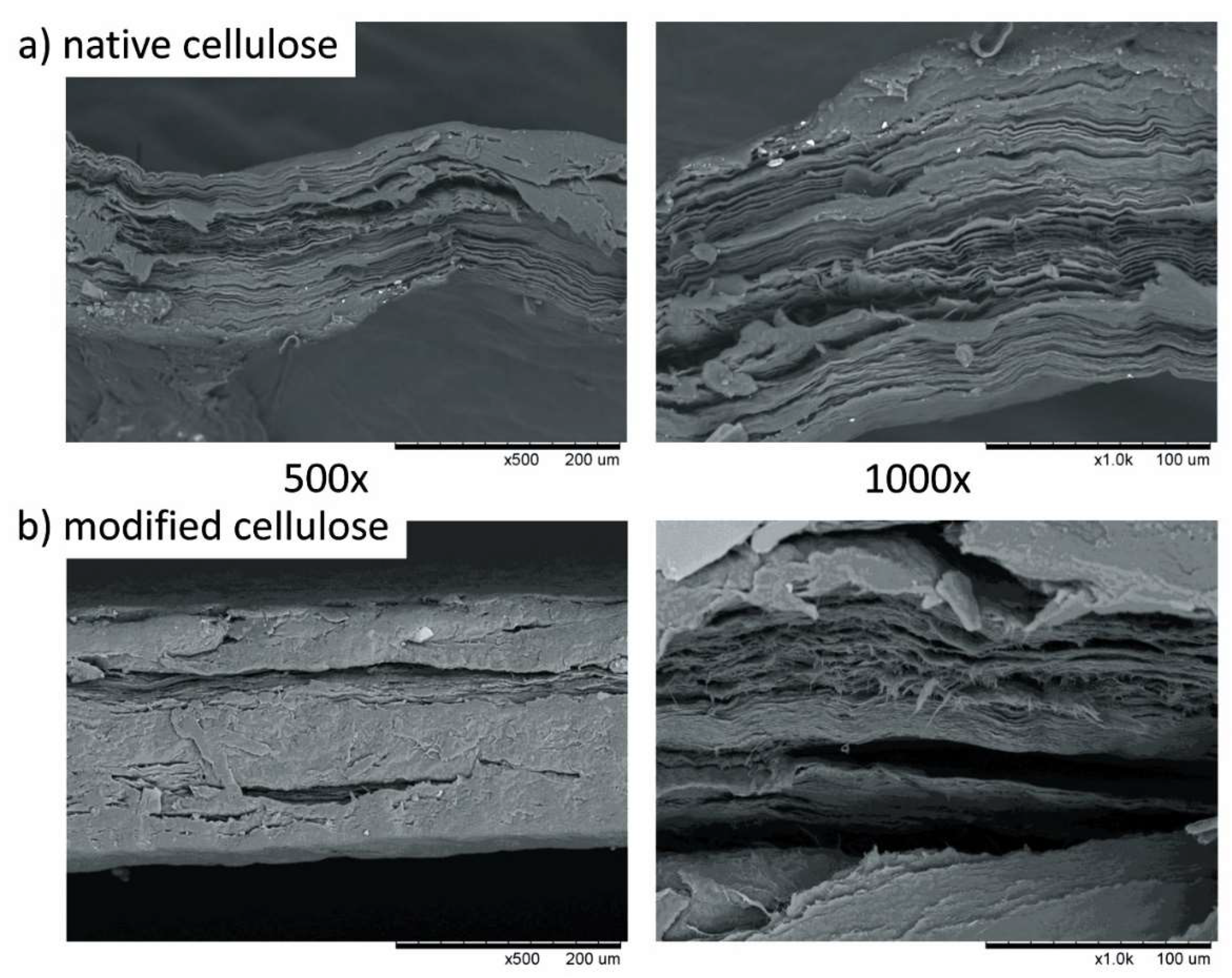 Coatings 11 01275 g002 Coatings 11 01275 g002