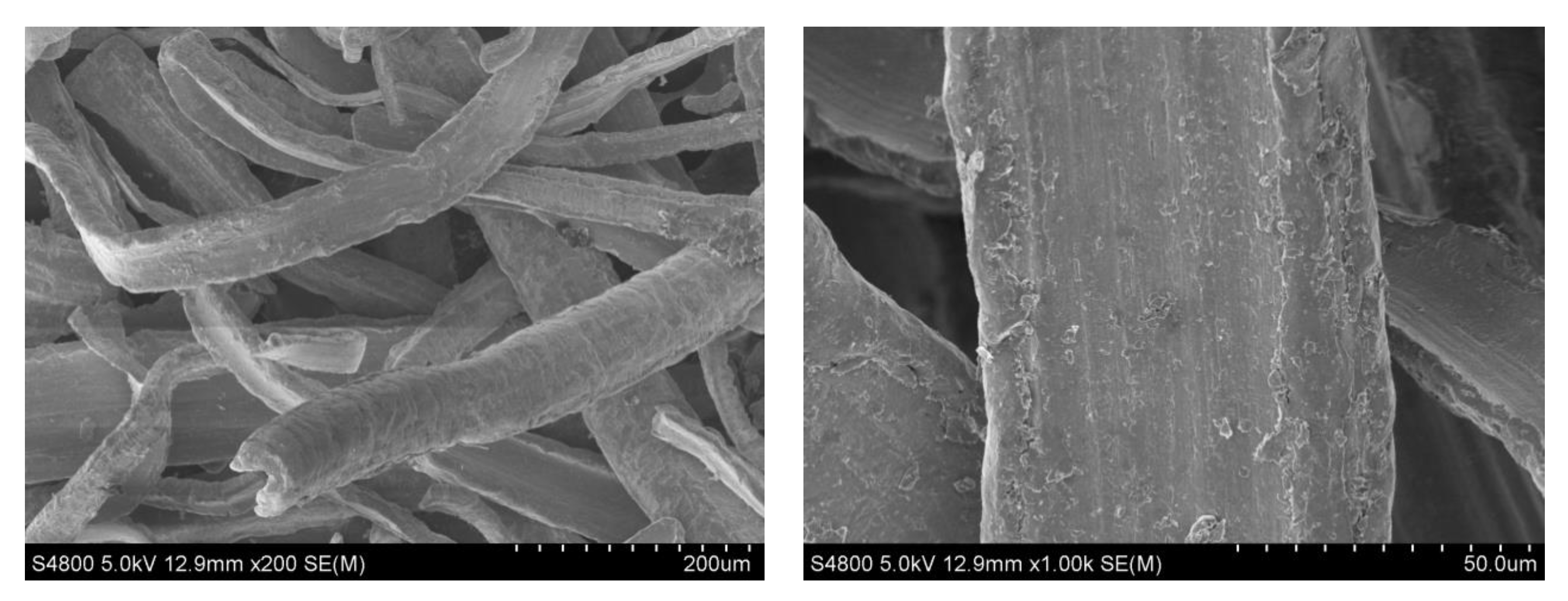 Coatings 11 01276 g004