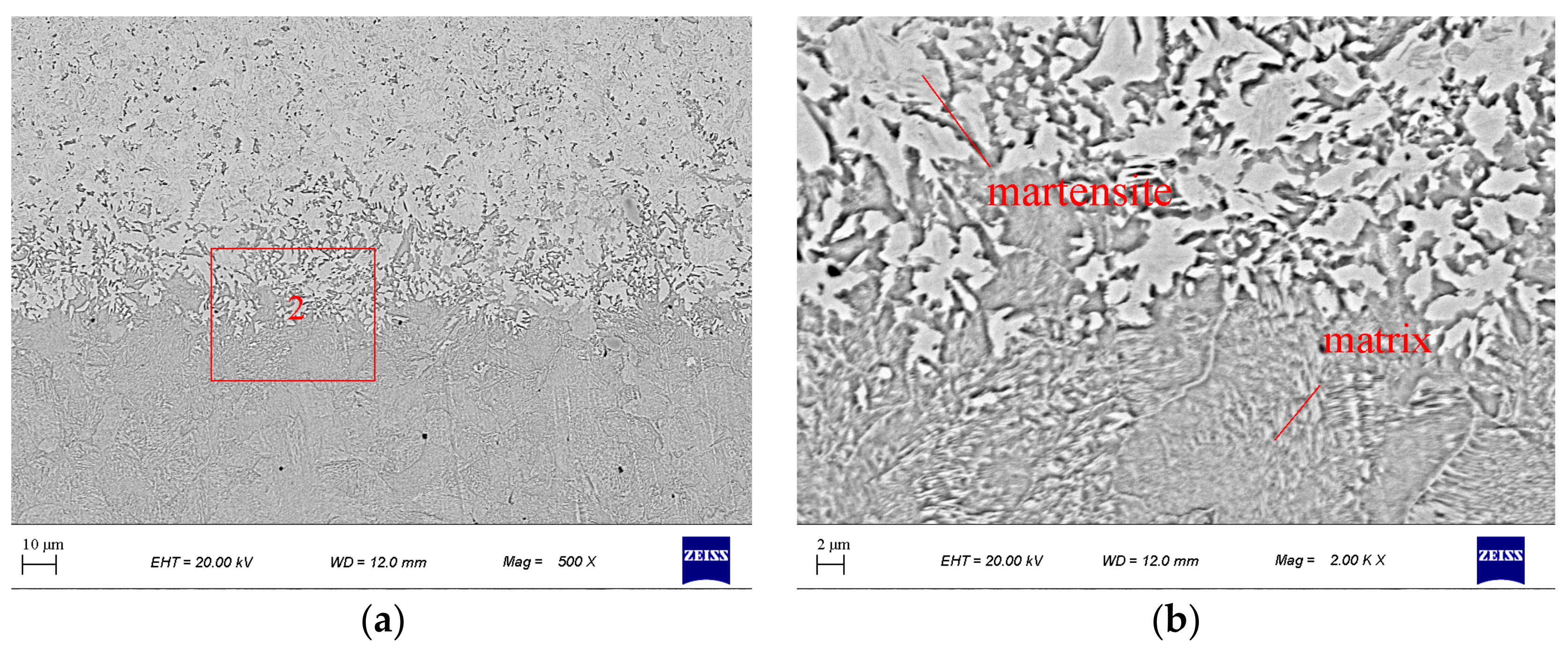Coatings 11 01282 g008