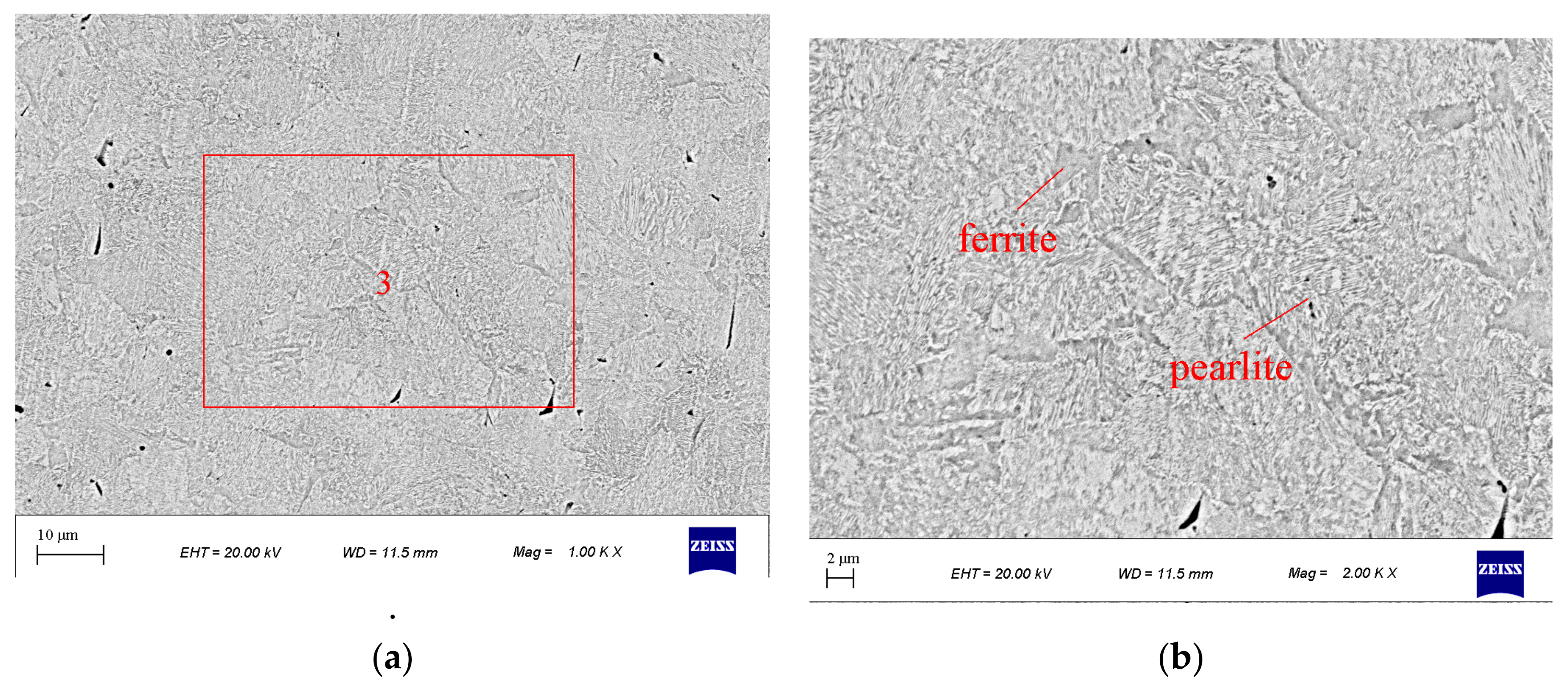 Coatings 11 01282 g009